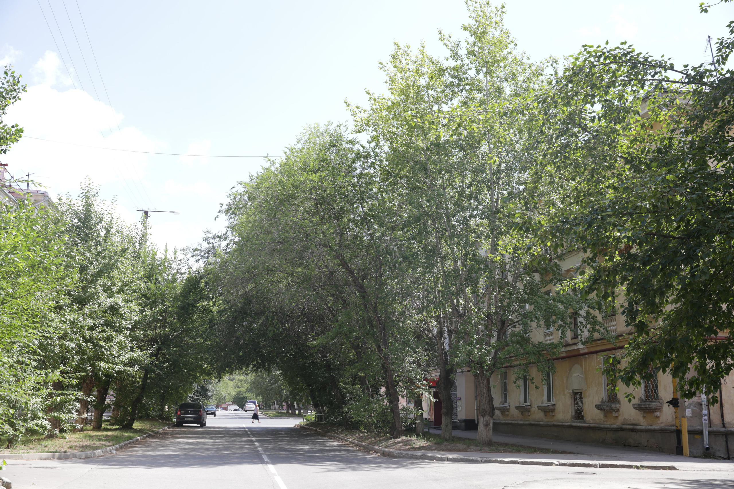 Тольятти и Жигулевск. Маргарита Рубцова свадебный фотограф Тольятти