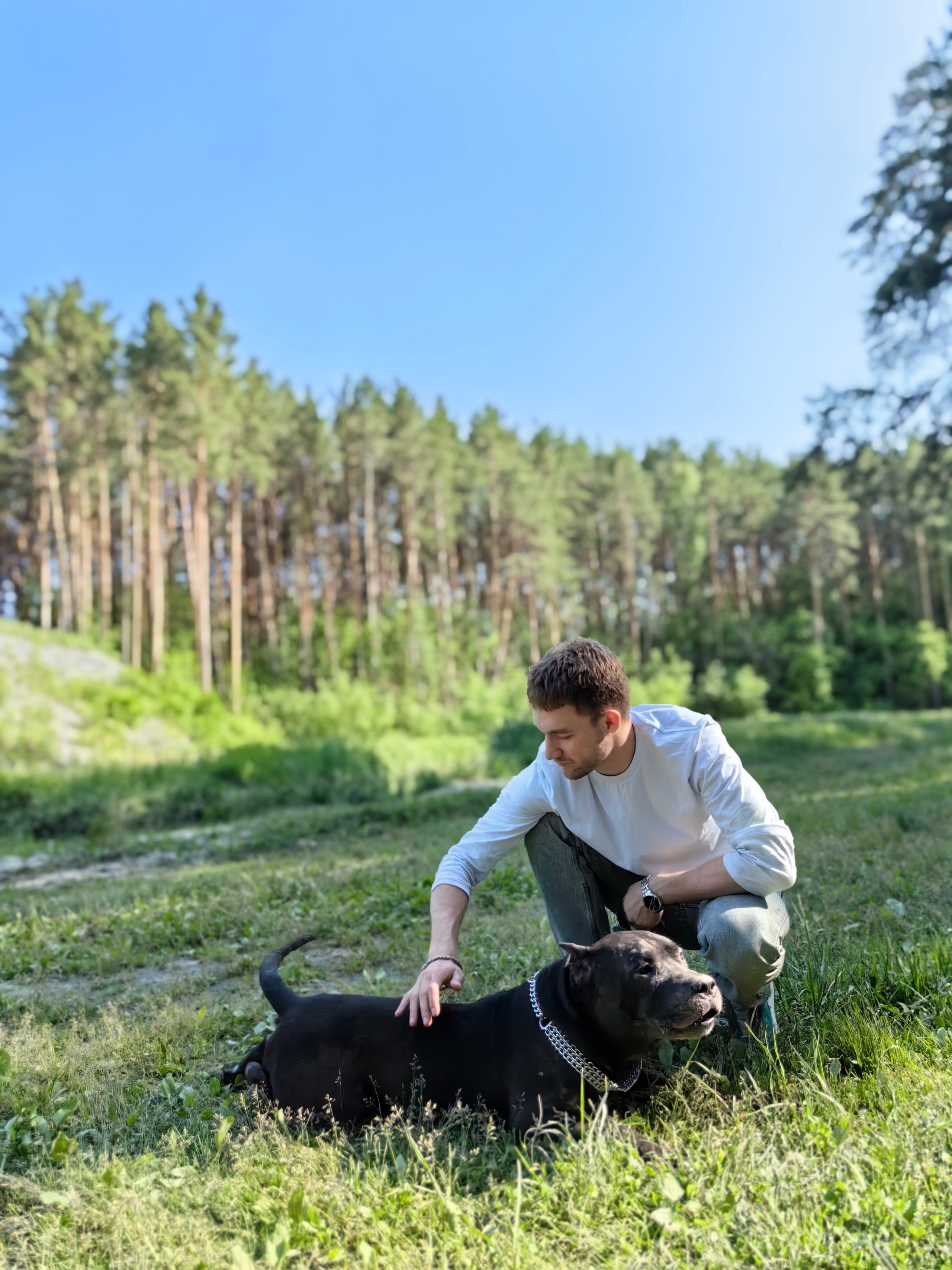 Кирилл, Василиса и Блэк