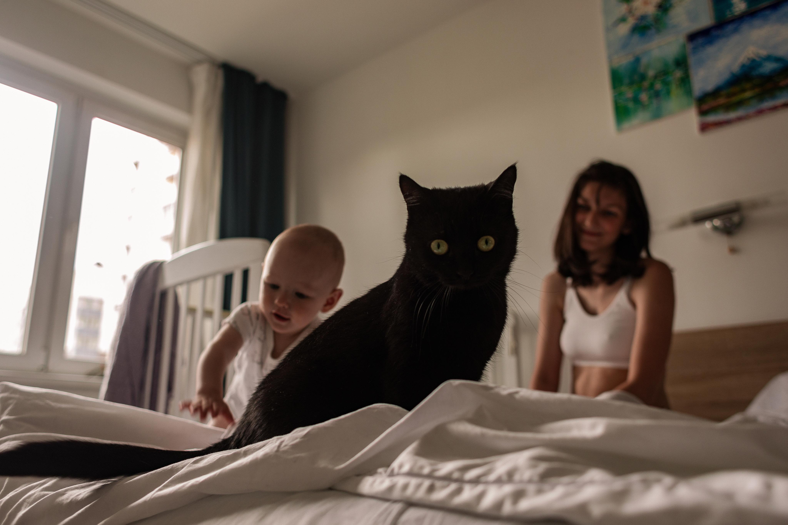 Эльвира и Родион. Семейный фотограф в Санкт-Петербурге Ева Маркова