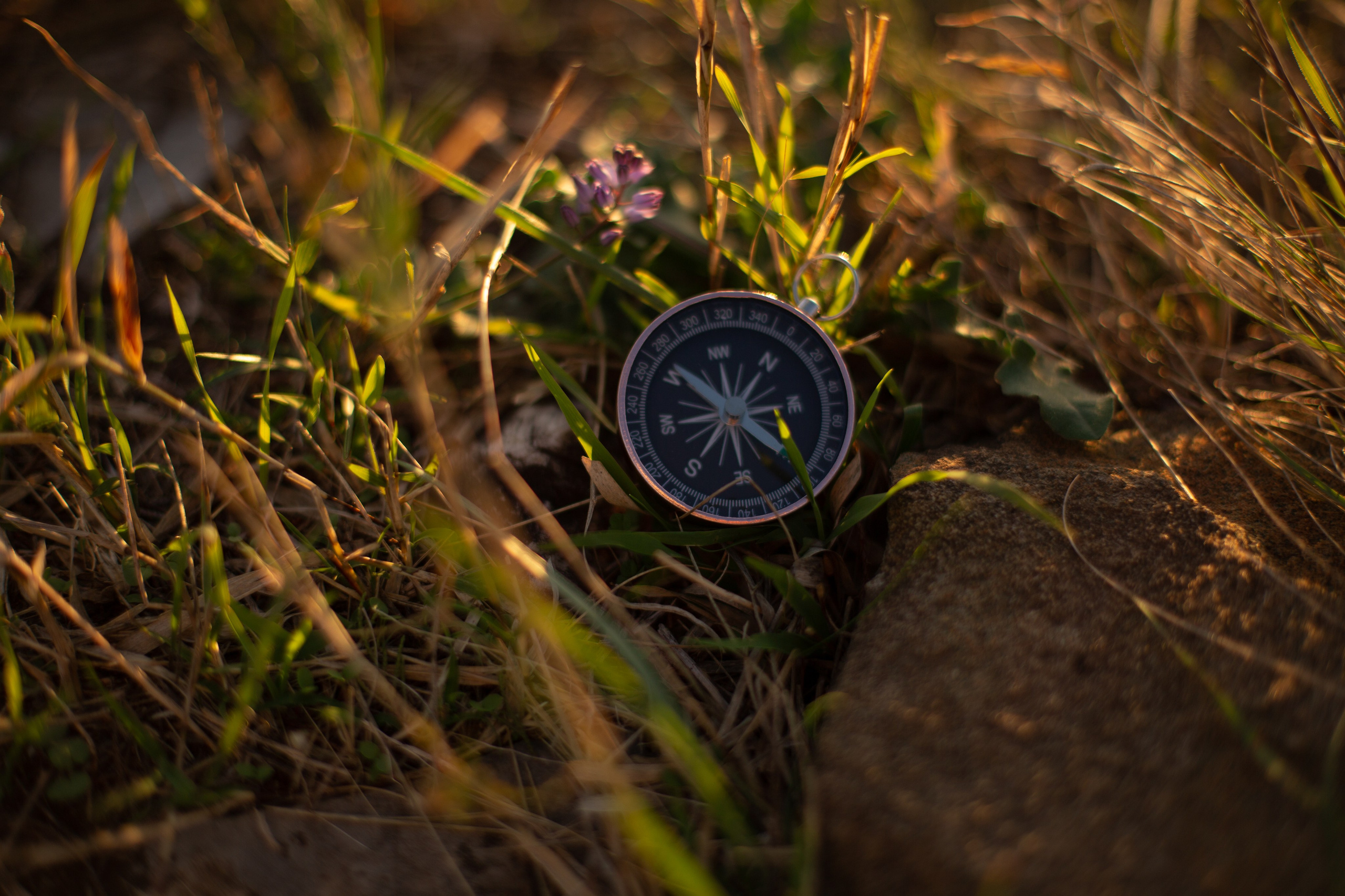 Анастасия Либерти