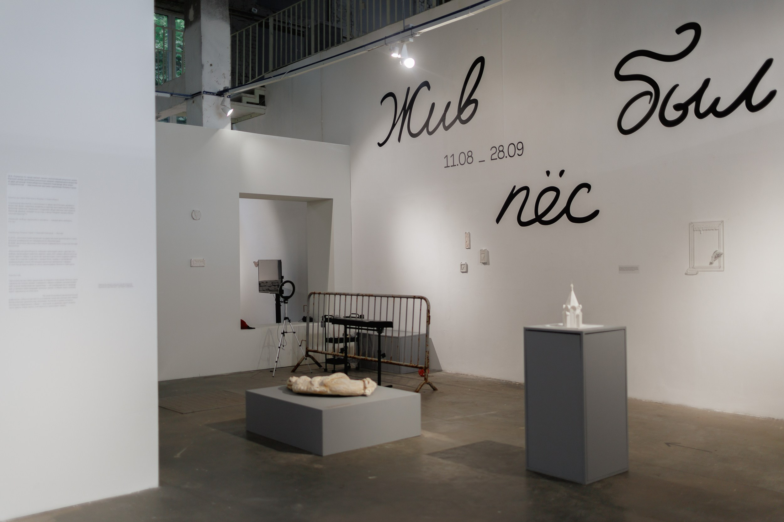 Жив был пёс. Собачий художник Поля Стриж