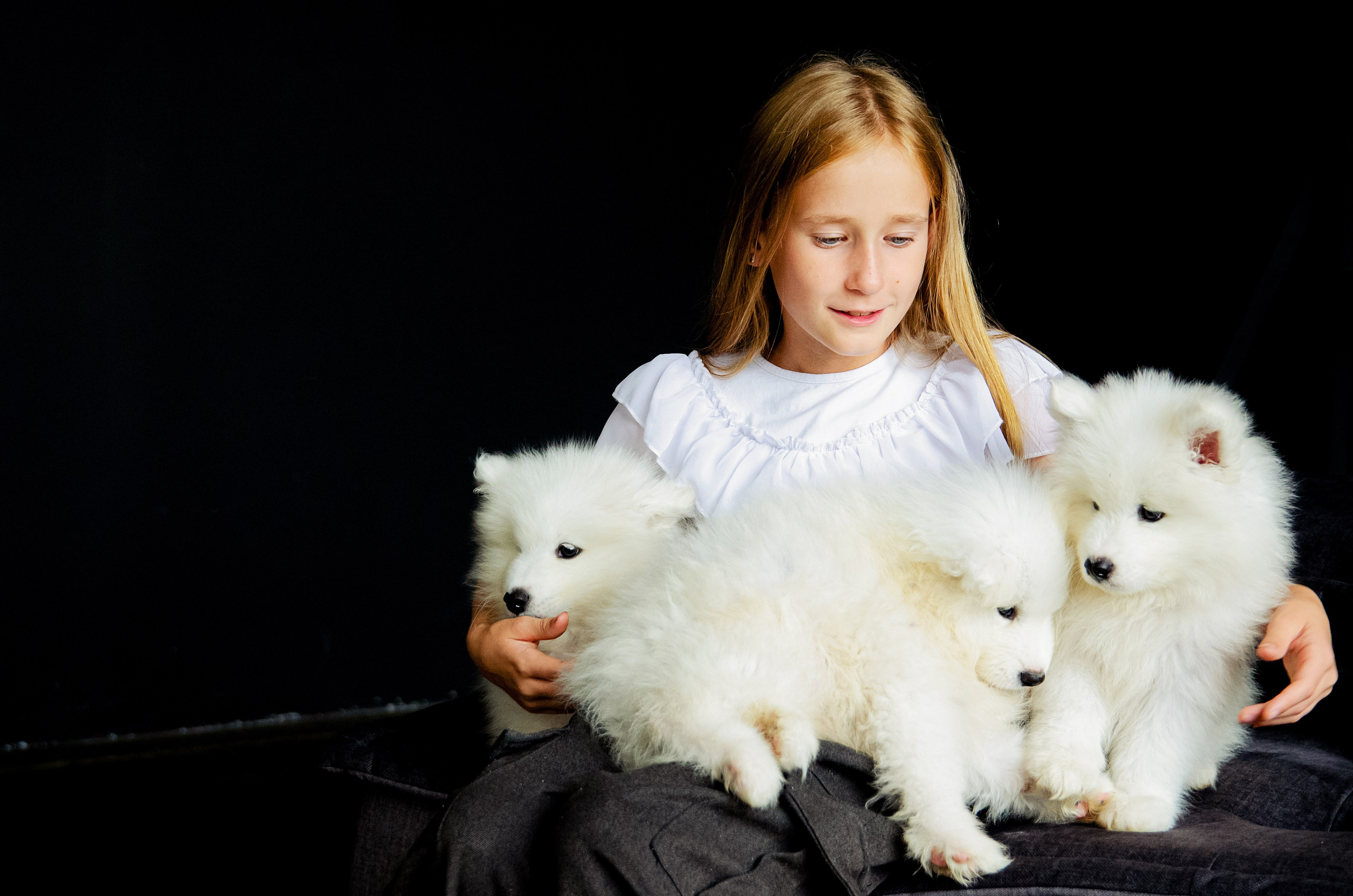 Фотосессия с щенками. Фотограф в Хабаровске