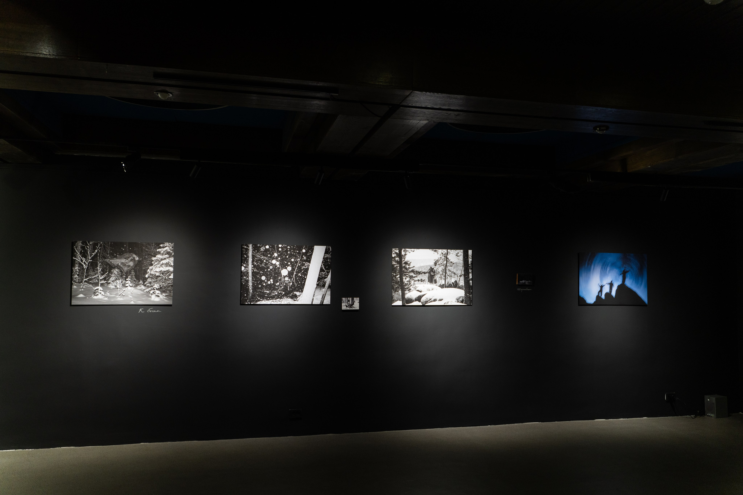 Пристанище. Элина Гусарова