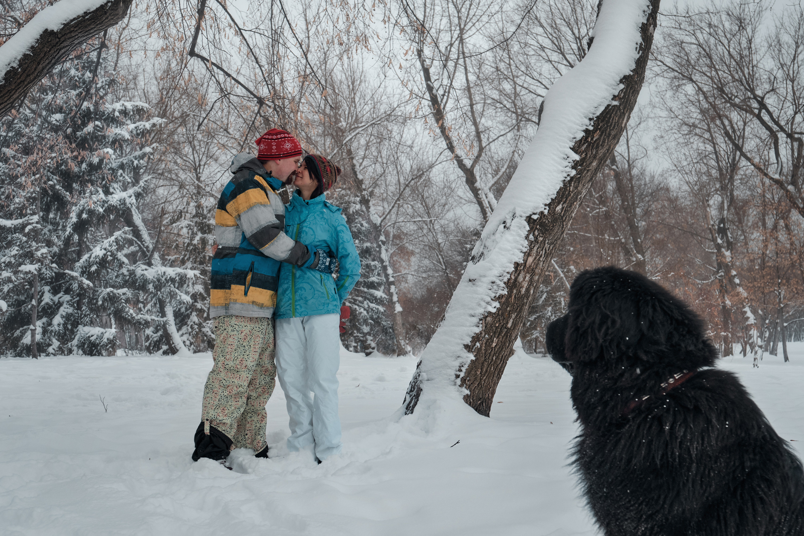 Фотосессия с собакой на улице