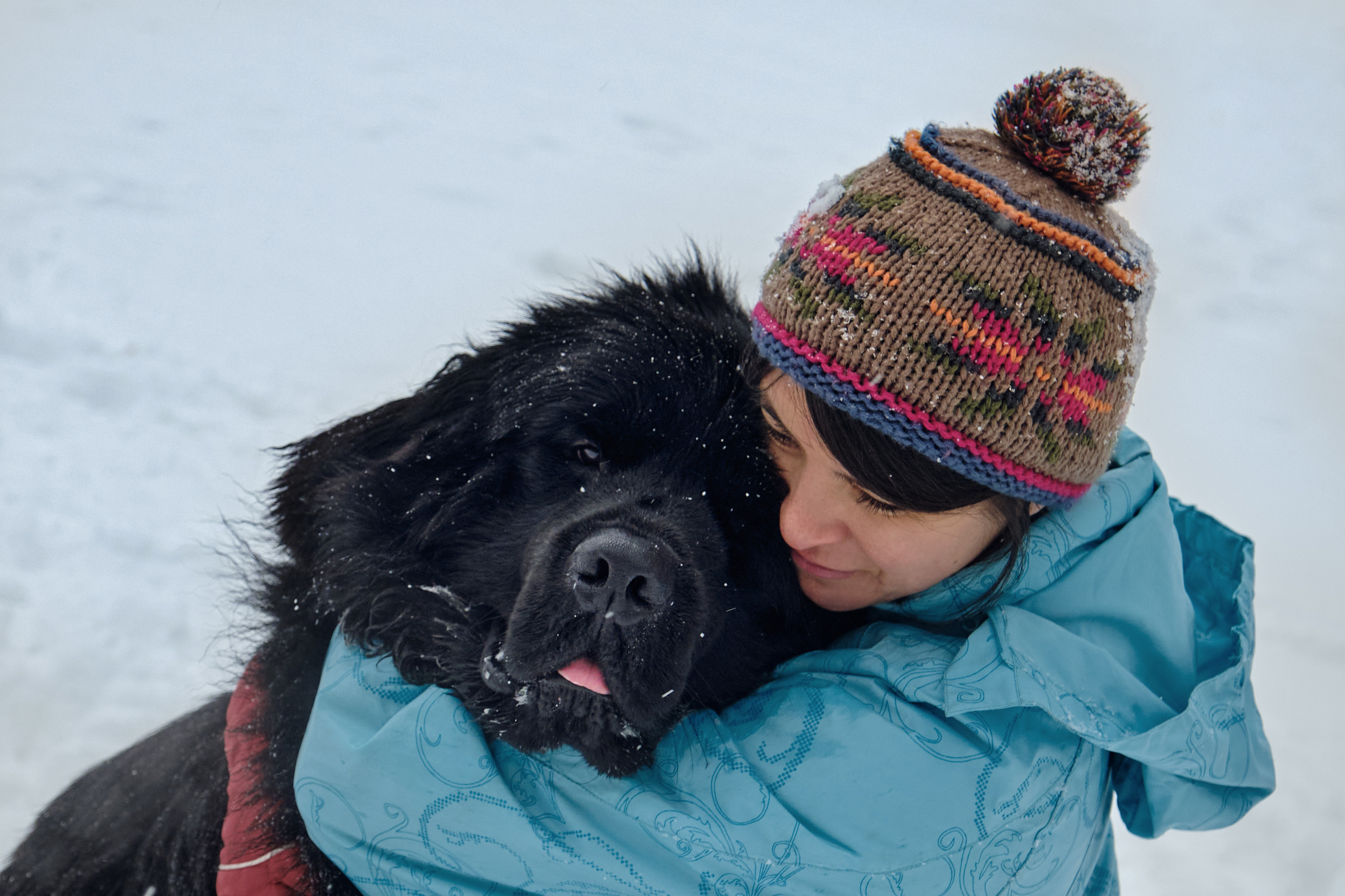 Фотосессия с собакой на улице