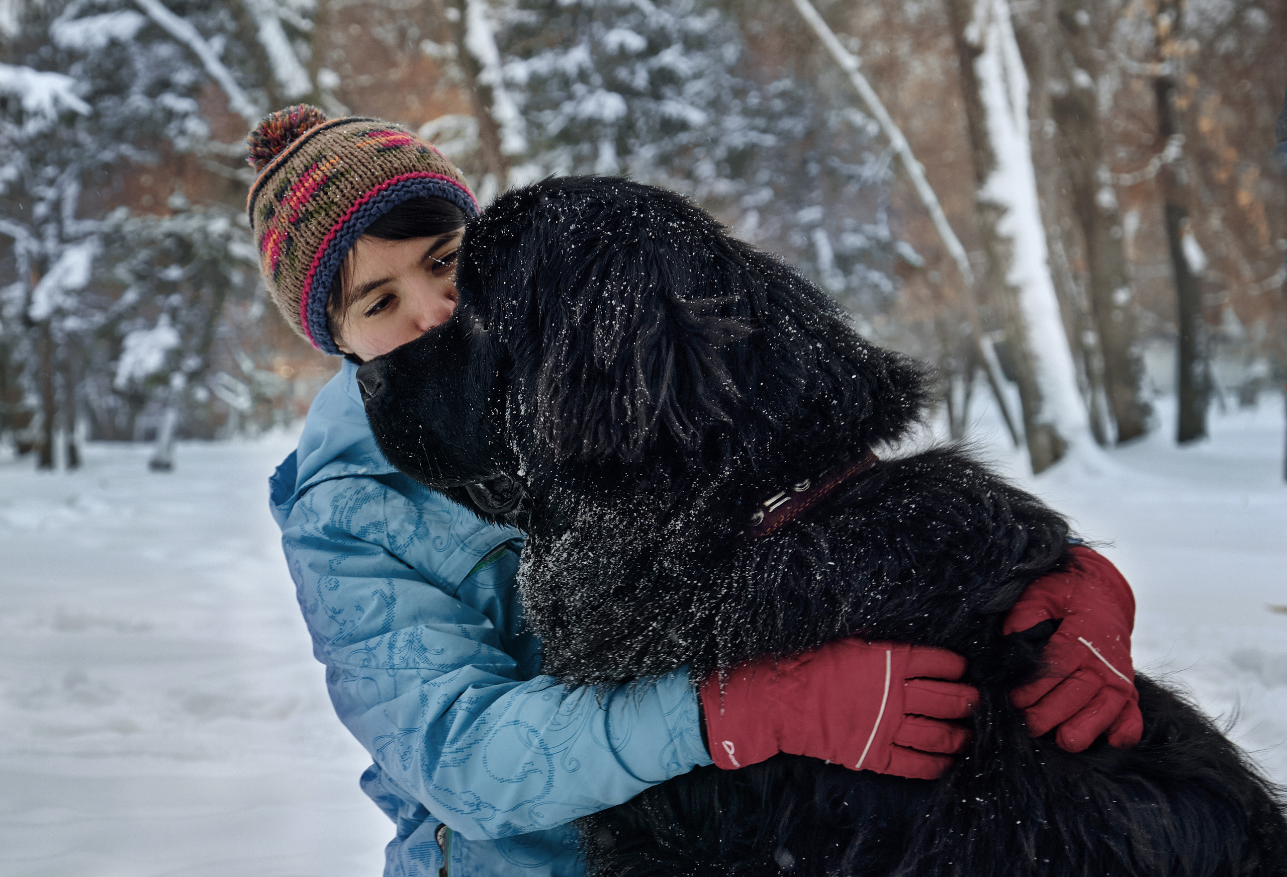 Фотосессия с собакой на улице