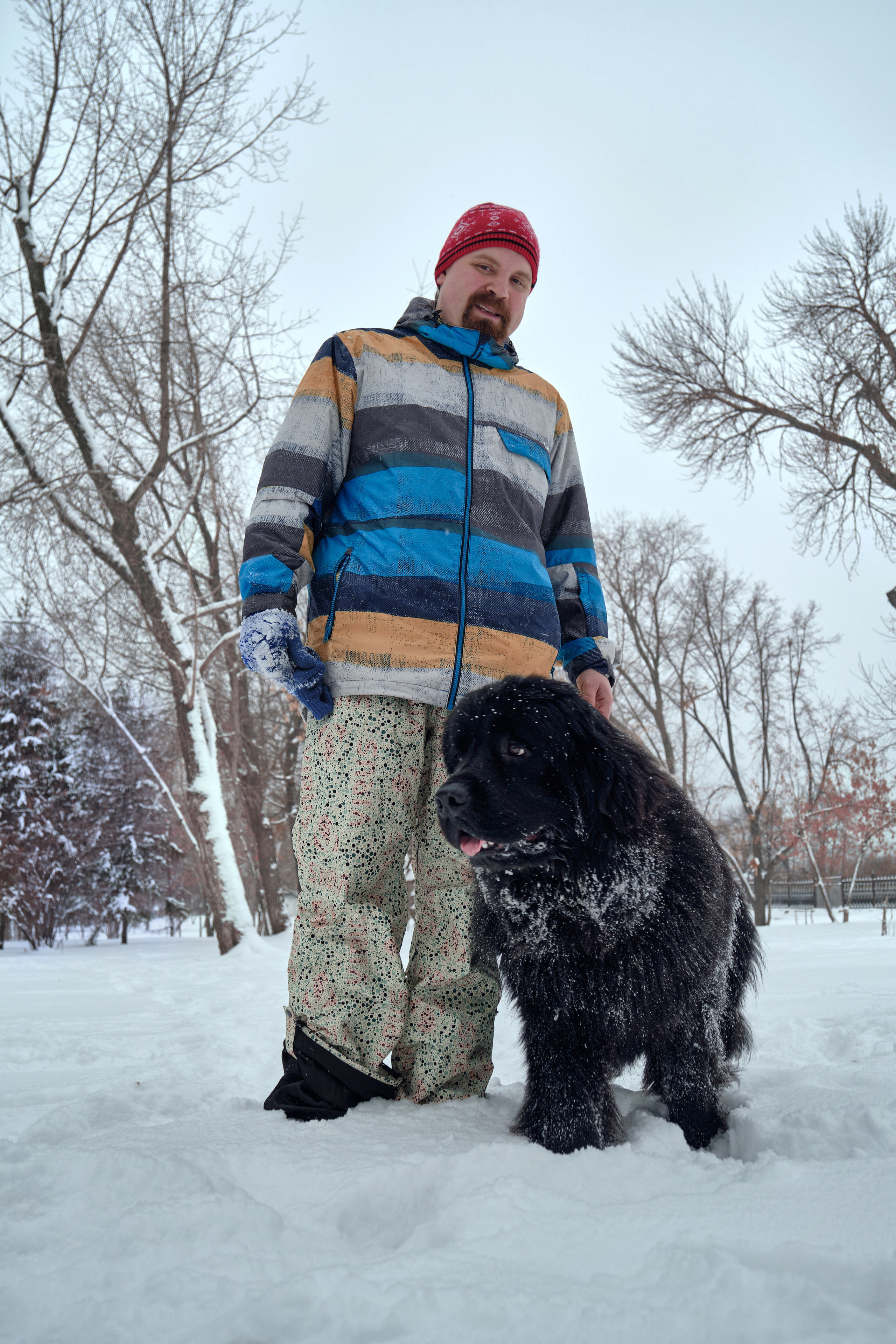 Фотосессия с собакой на улице