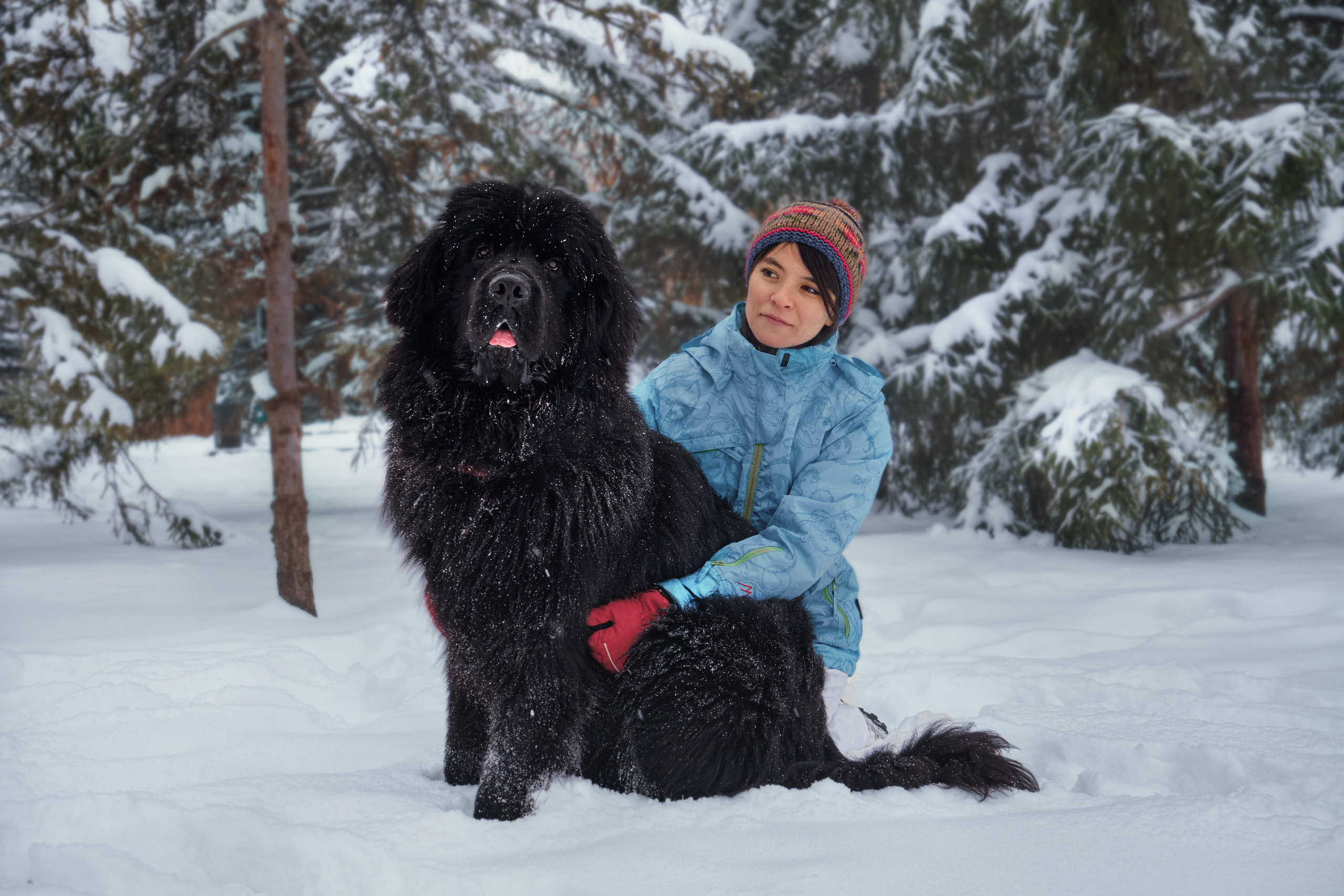 Фотосессия с собакой на улице