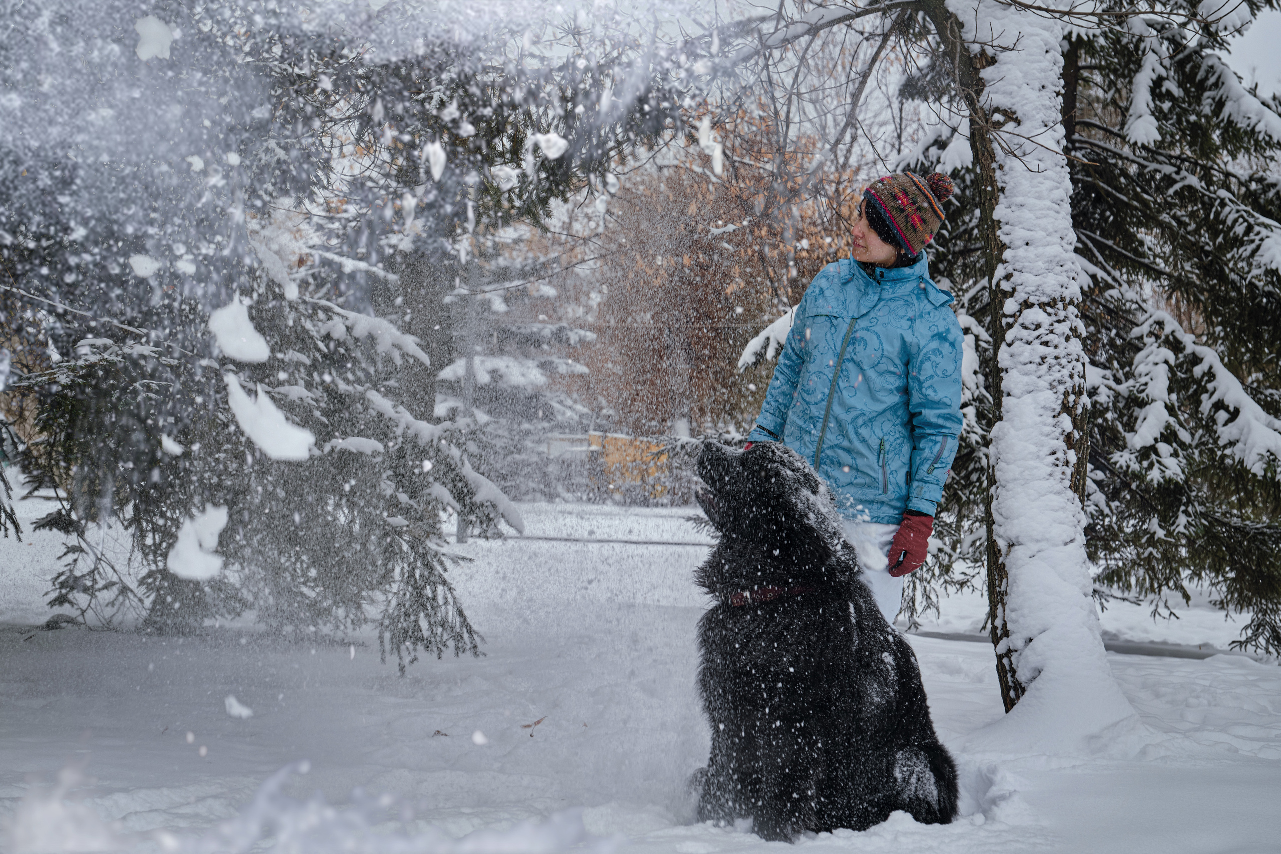 Фотосессия с собакой на улице