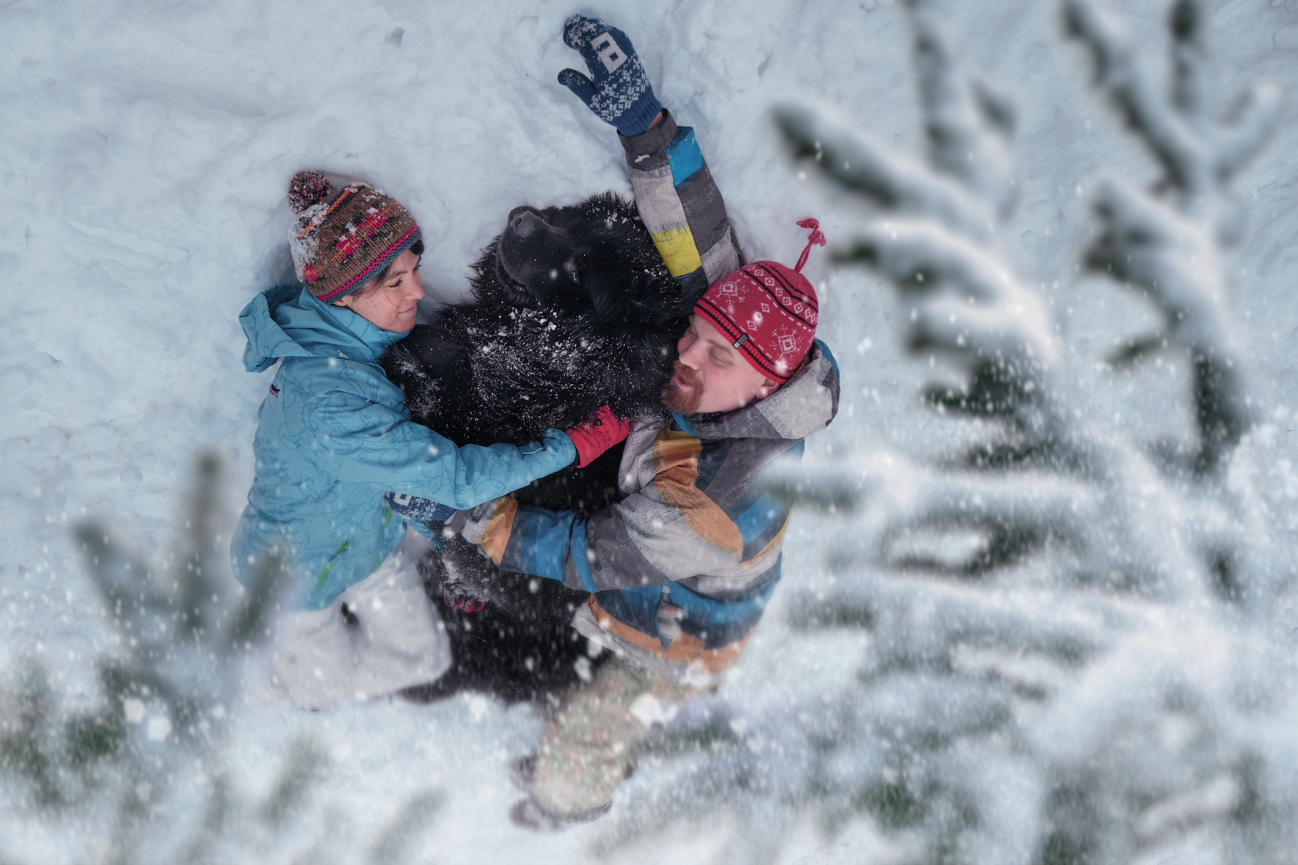 Фотосессия с собакой на улице