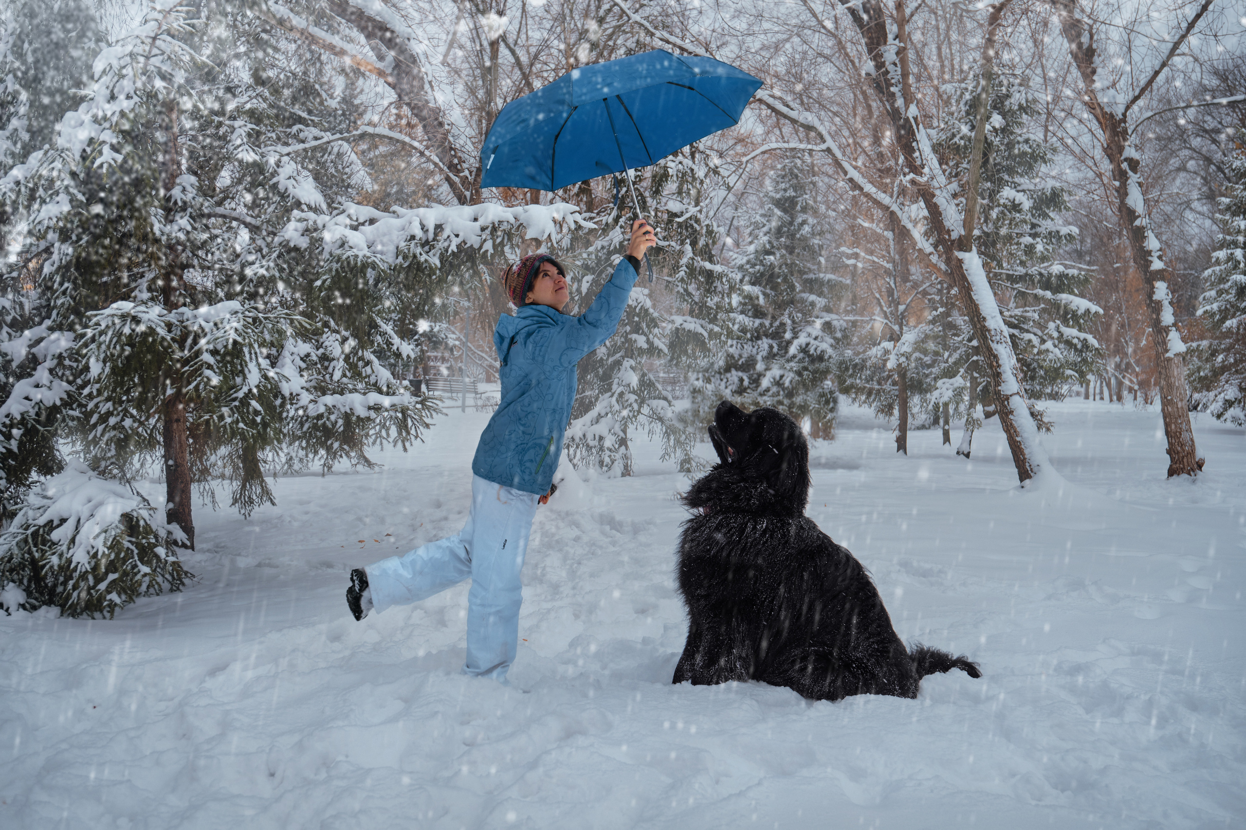 Фотосессия с собакой на улице