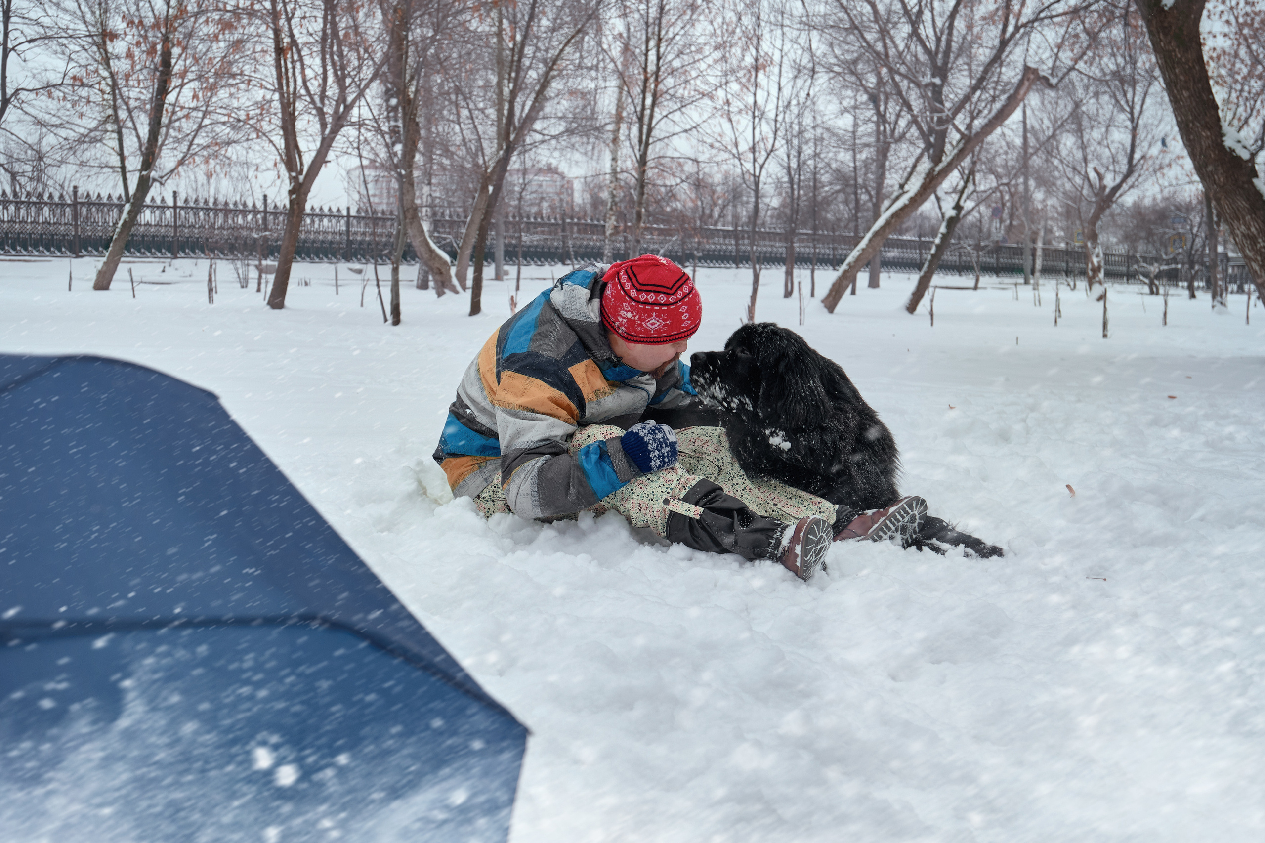 Фотосессия с собакой на улице