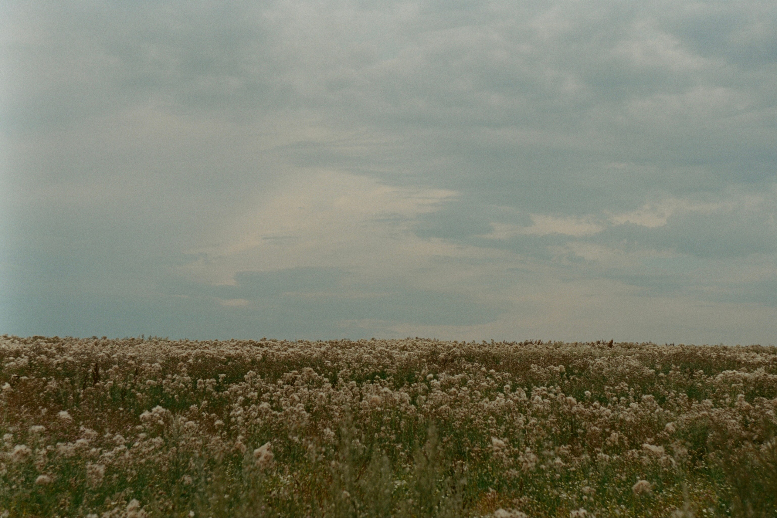 Автор: Семен Журавлев