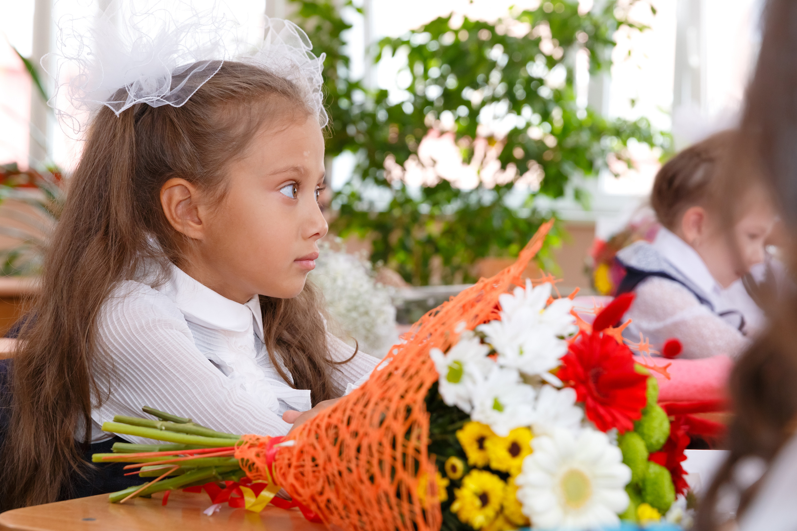 Репортажная съемка 1 сентября. Выпускные альбомы Красноярск