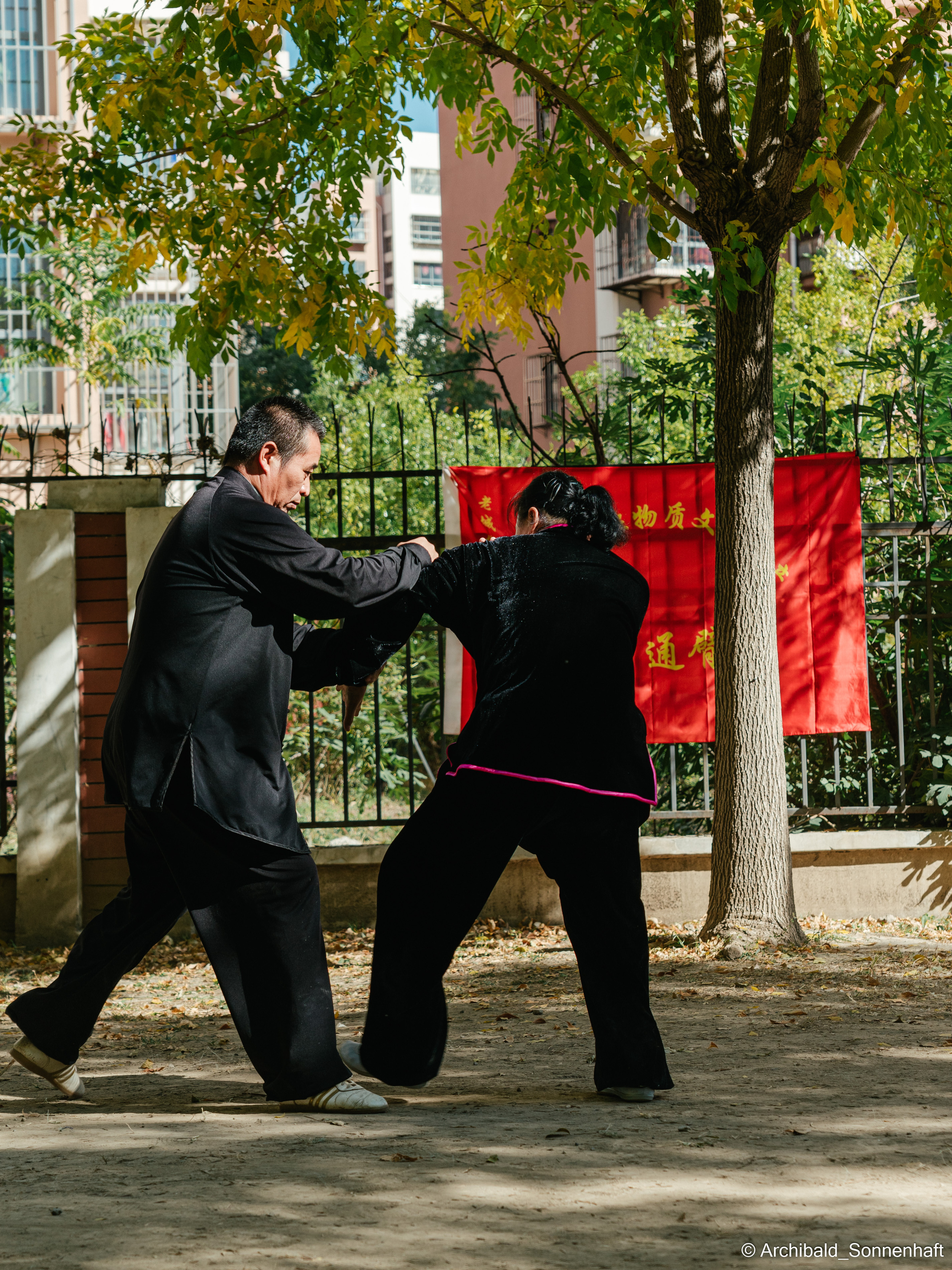 TaiJiQuan. Photographer in Guangzhou, China. Archibald Sonnenhaft