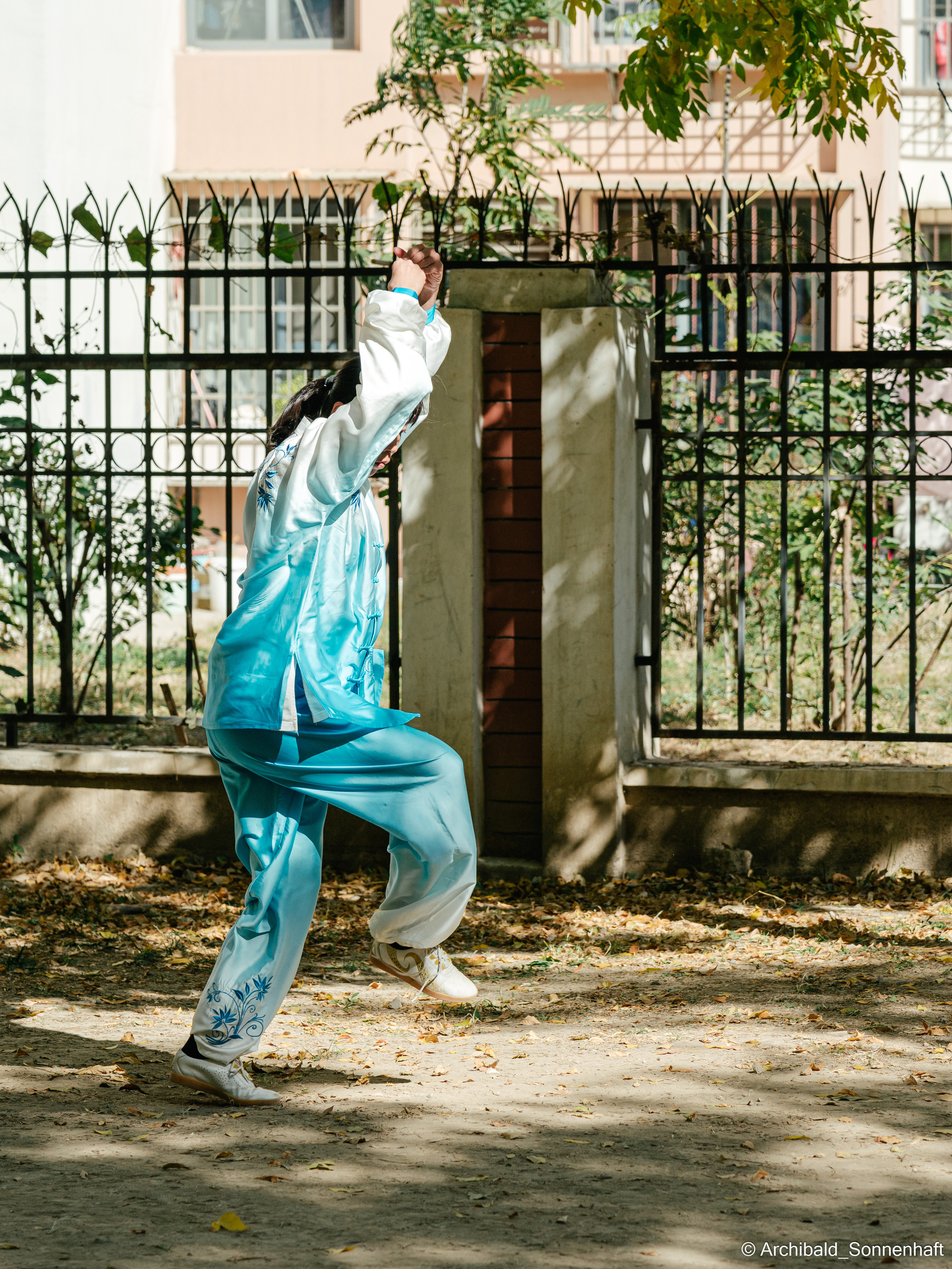 TaiJiQuan. Photographer in Guangzhou, China. Archibald Sonnenhaft