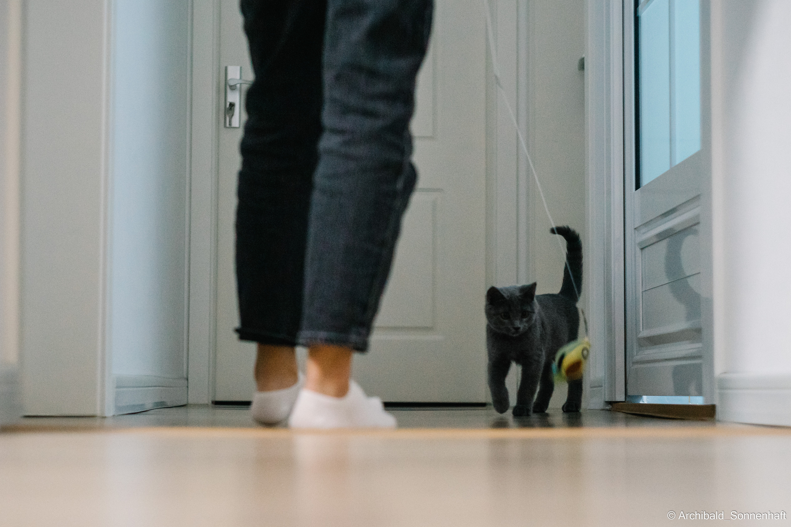 Chinese and Kyrgyzstan’s family!. Photographer in Guangzhou, China. Archibald Sonnenhaft