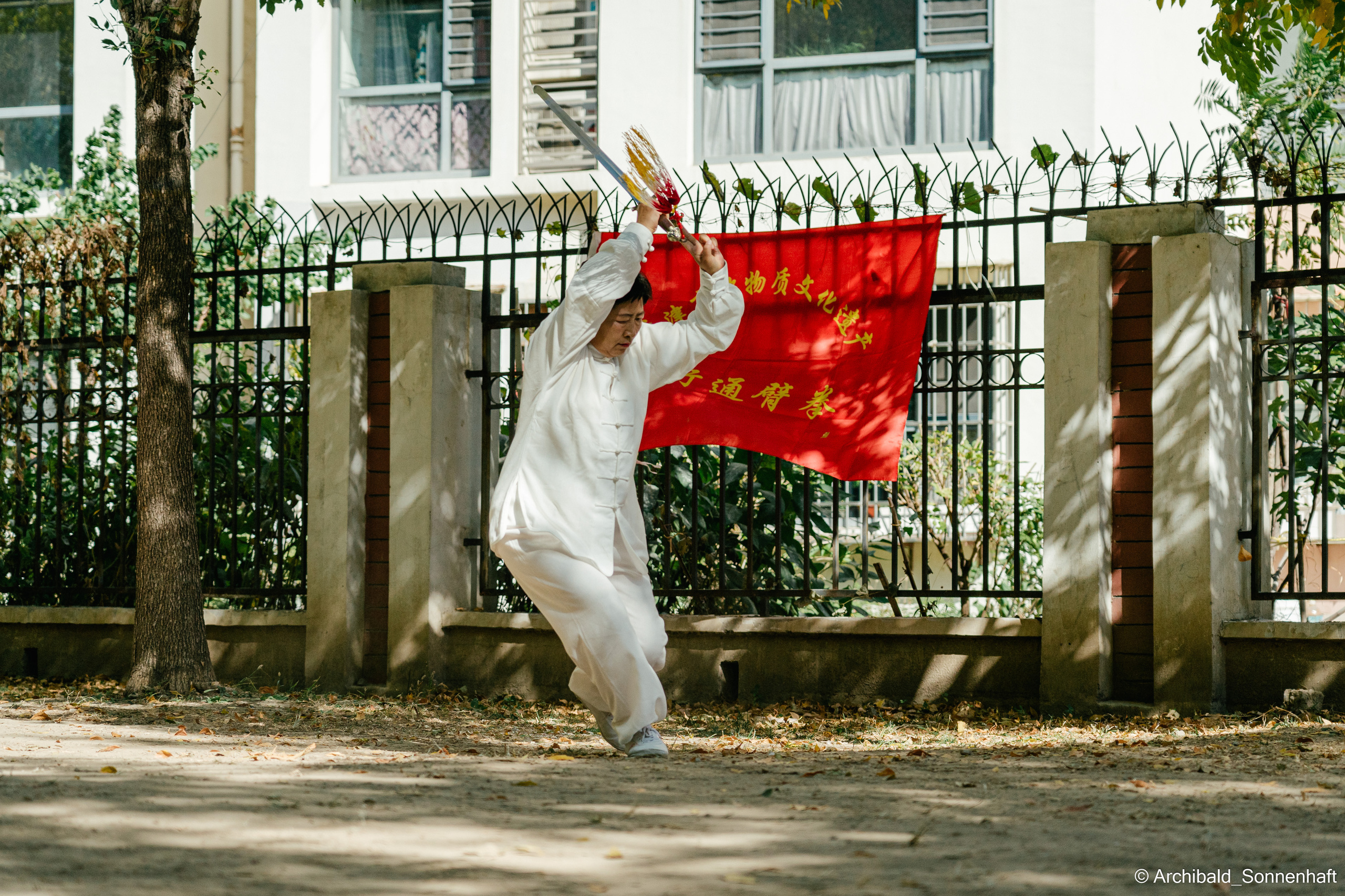 TaiJiQuan. Photographer in Guangzhou, China. Archibald Sonnenhaft
