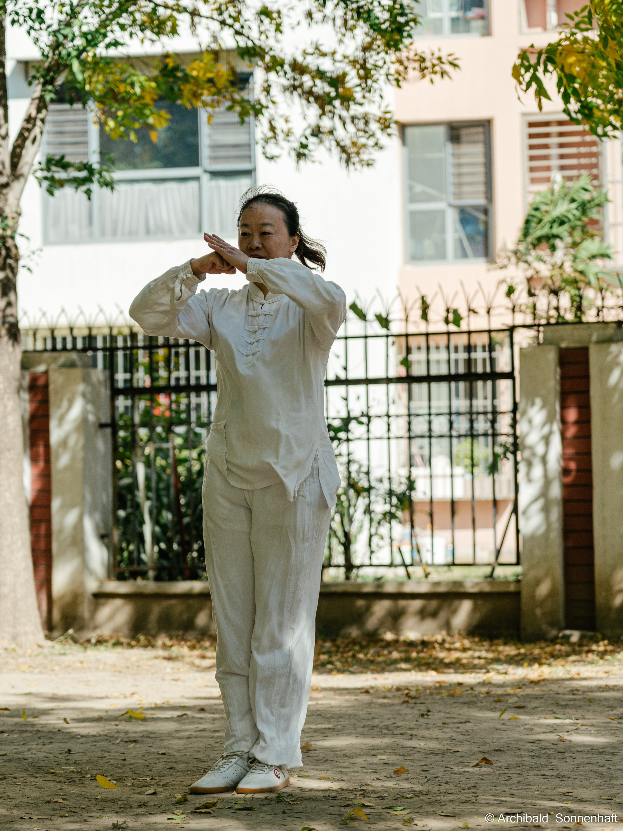 TaiJiQuan. Photographer in Guangzhou, China. Archibald Sonnenhaft