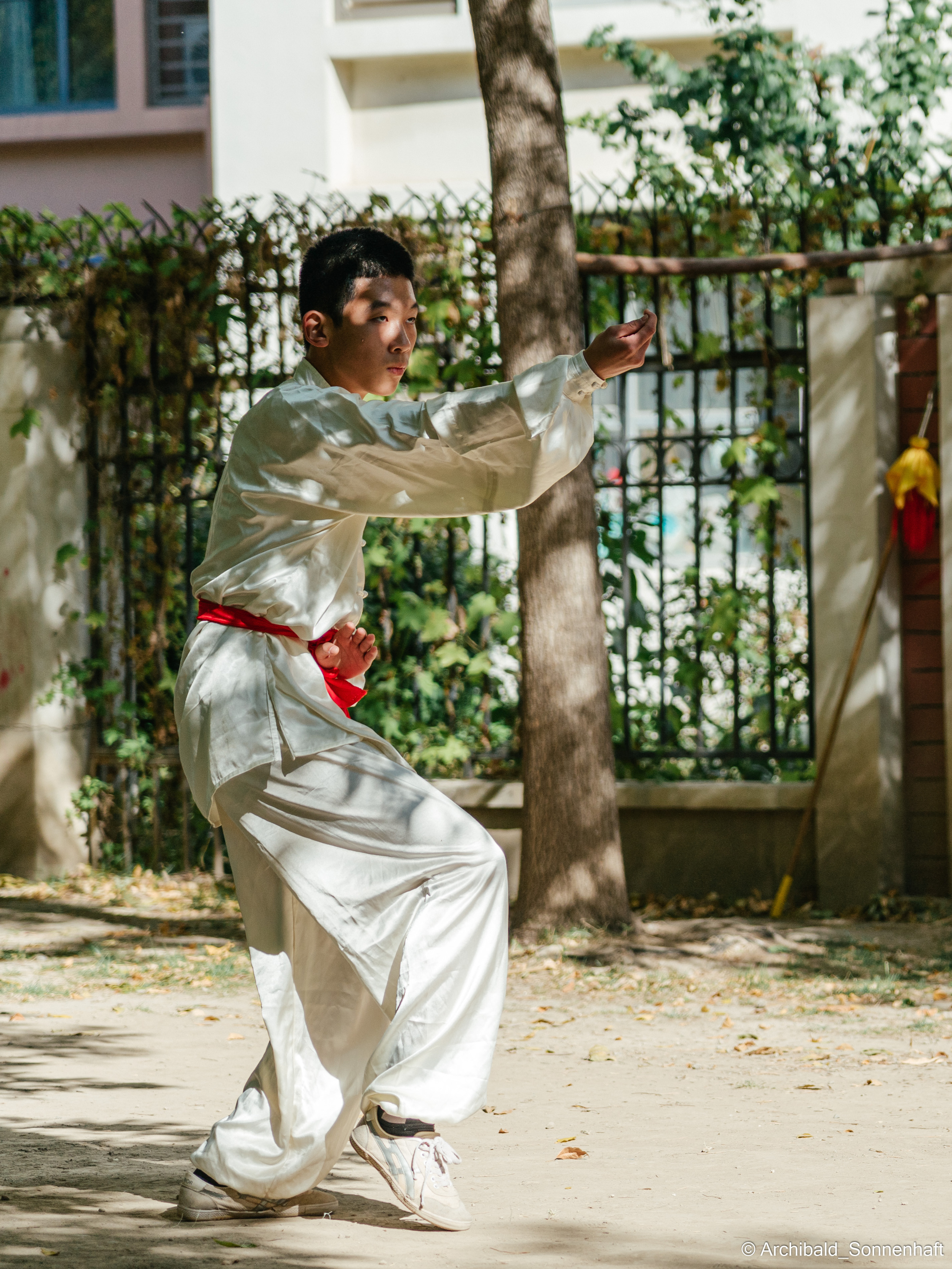 TaiJiQuan. Photographer in Guangzhou, China. Archibald Sonnenhaft