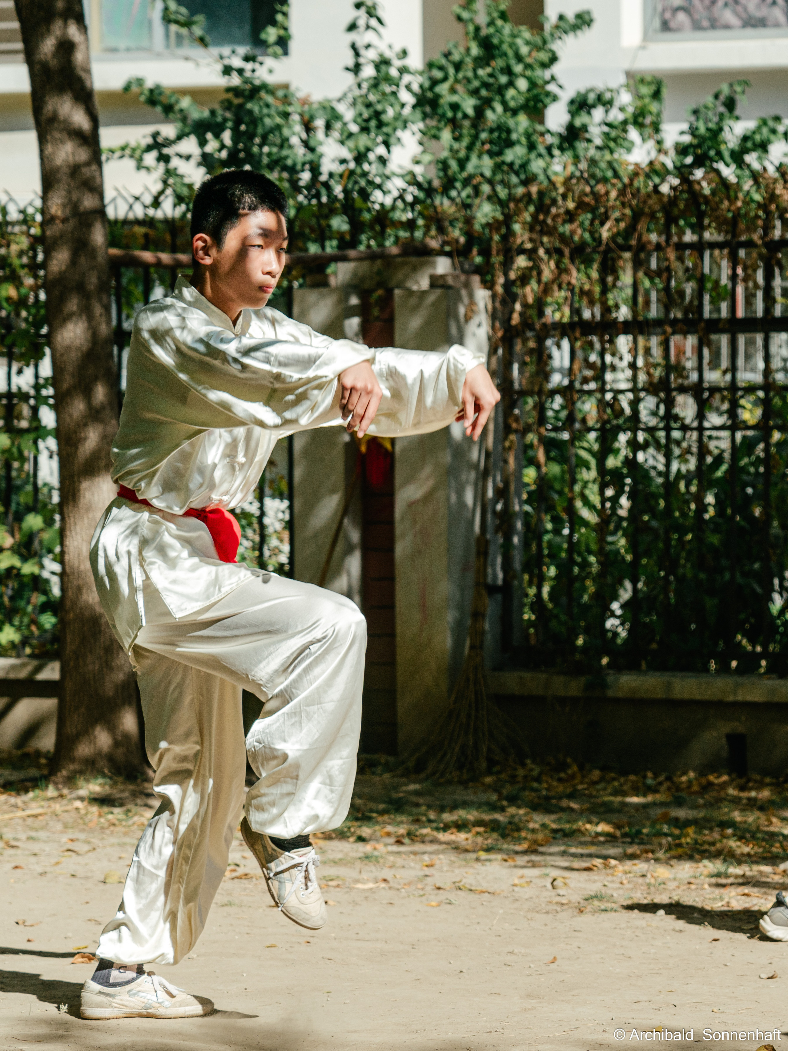 TaiJiQuan. Photographer in Guangzhou, China. Archibald Sonnenhaft