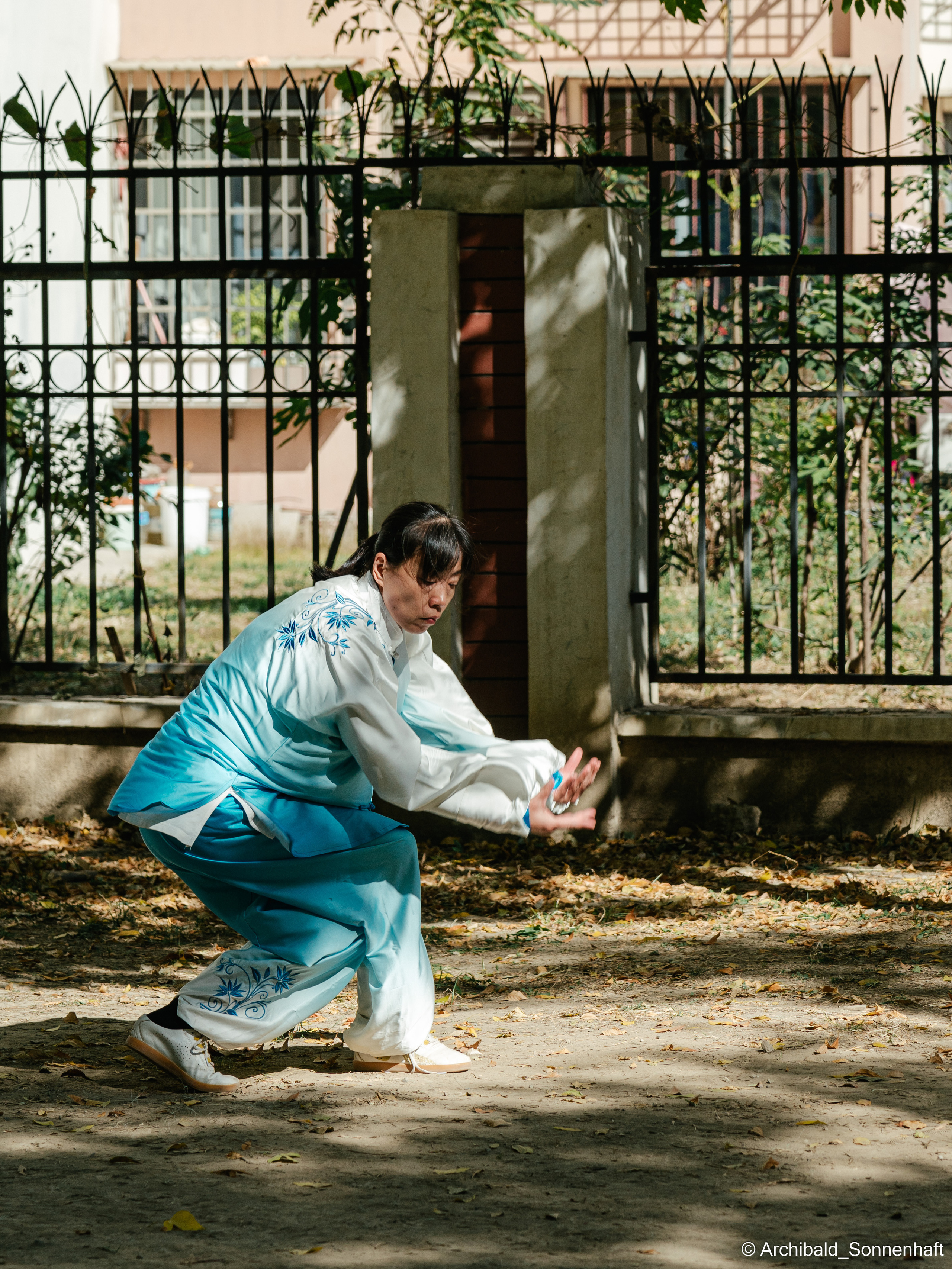 TaiJiQuan. Photographer in Guangzhou, China. Archibald Sonnenhaft