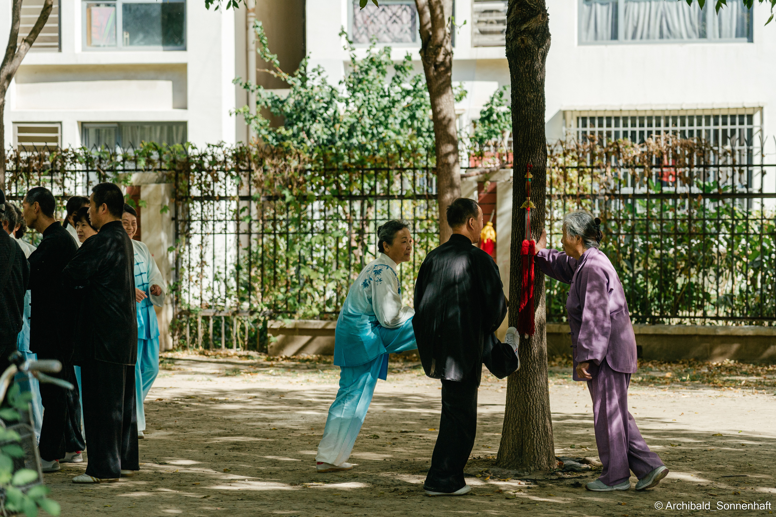 TaiJiQuan. Photographer in Guangzhou, China. Archibald Sonnenhaft