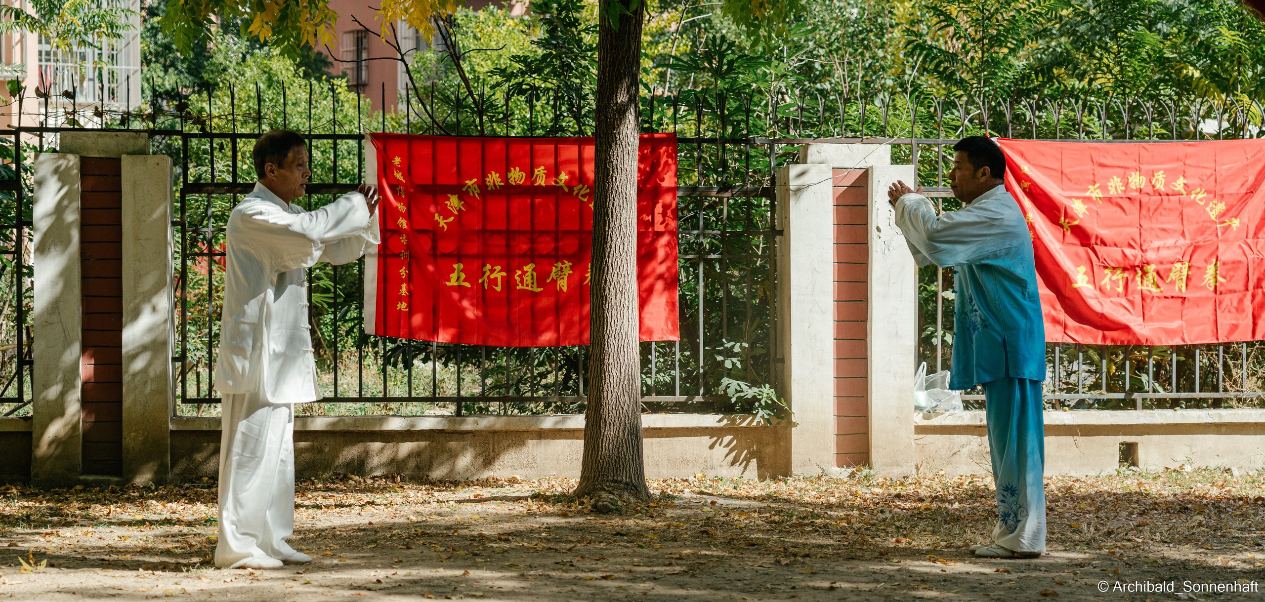 TaiJiQuan. Photographer in Guangzhou, China. Archibald Sonnenhaft