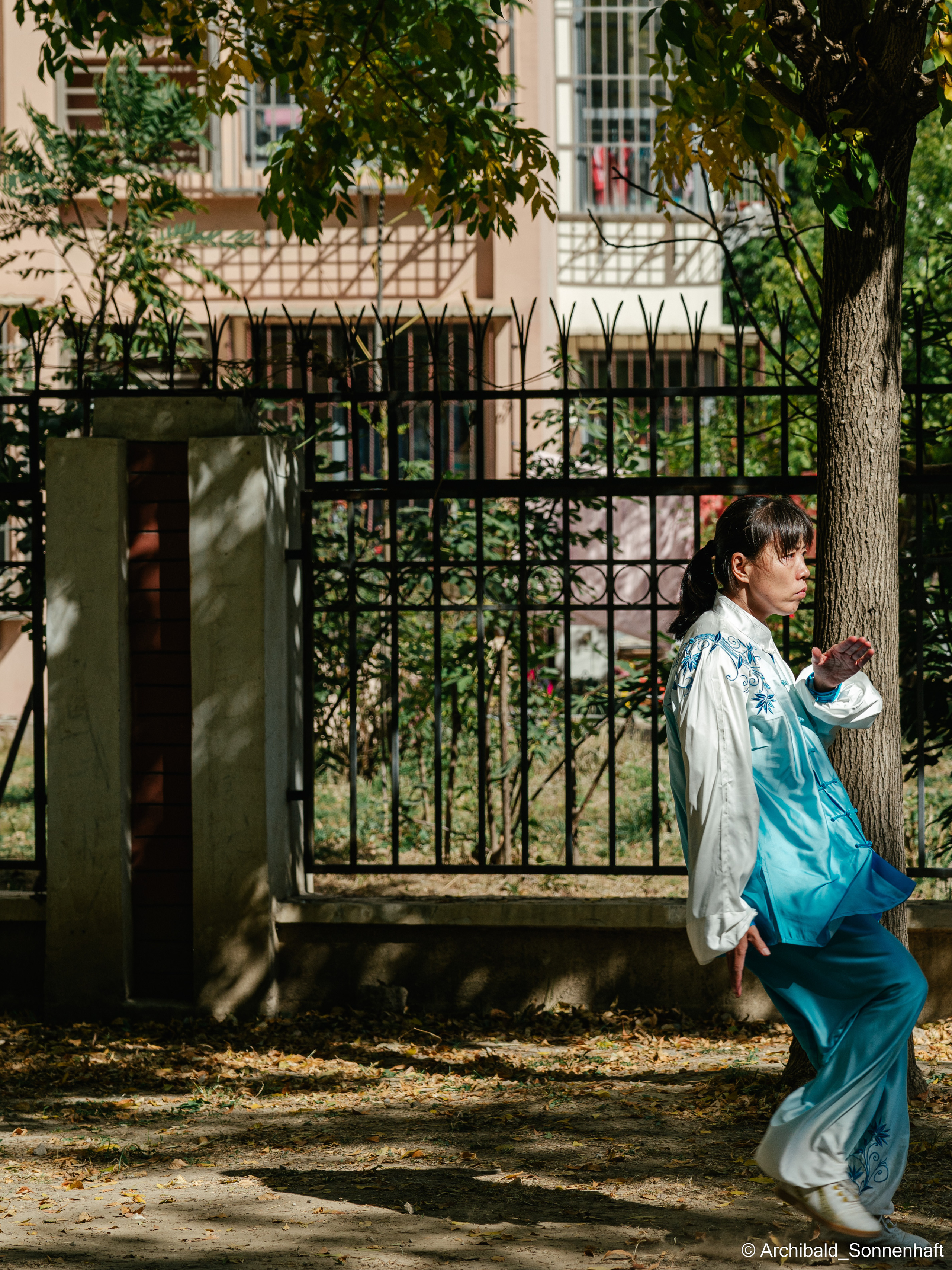 TaiJiQuan. Photographer in Guangzhou, China. Archibald Sonnenhaft