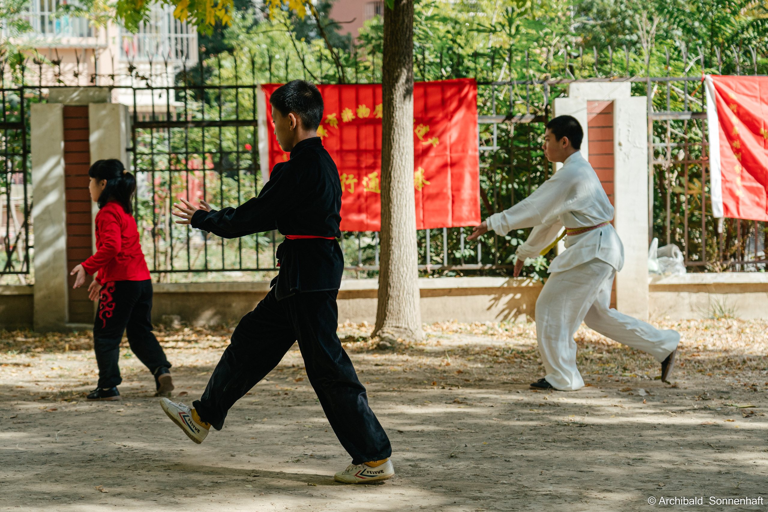 TaiJiQuan. Photographer in Guangzhou, China. Archibald Sonnenhaft
