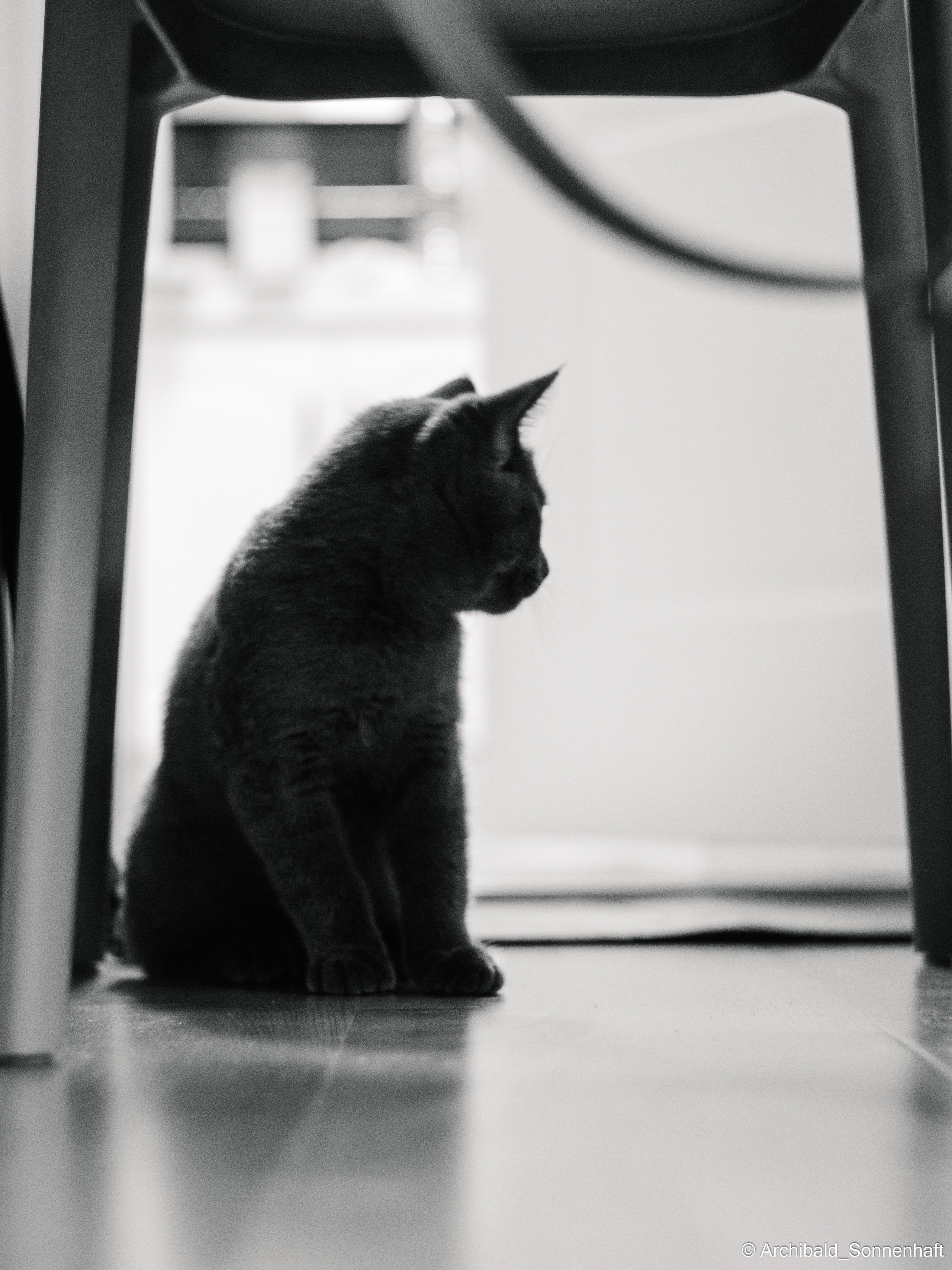 Chinese and Kyrgyzstan’s family!. Photographer in Guangzhou, China. Archibald Sonnenhaft