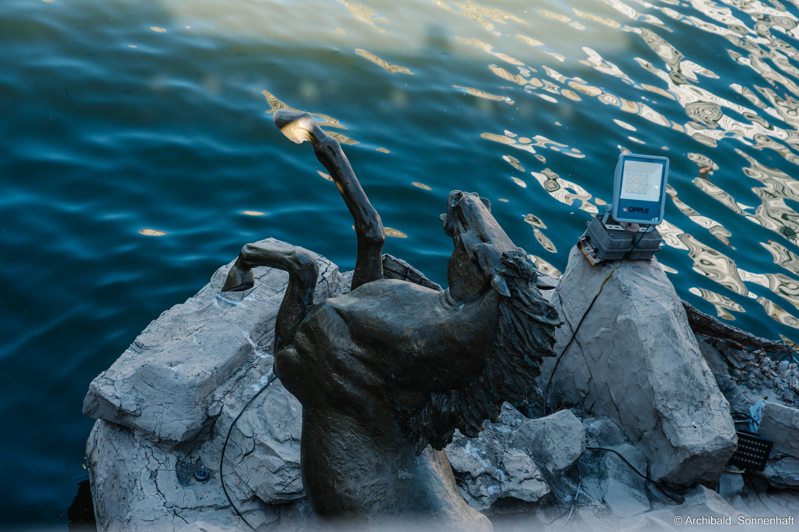 Photo contests. Photographer in Guangzhou, China. Archibald Sonnenhaft