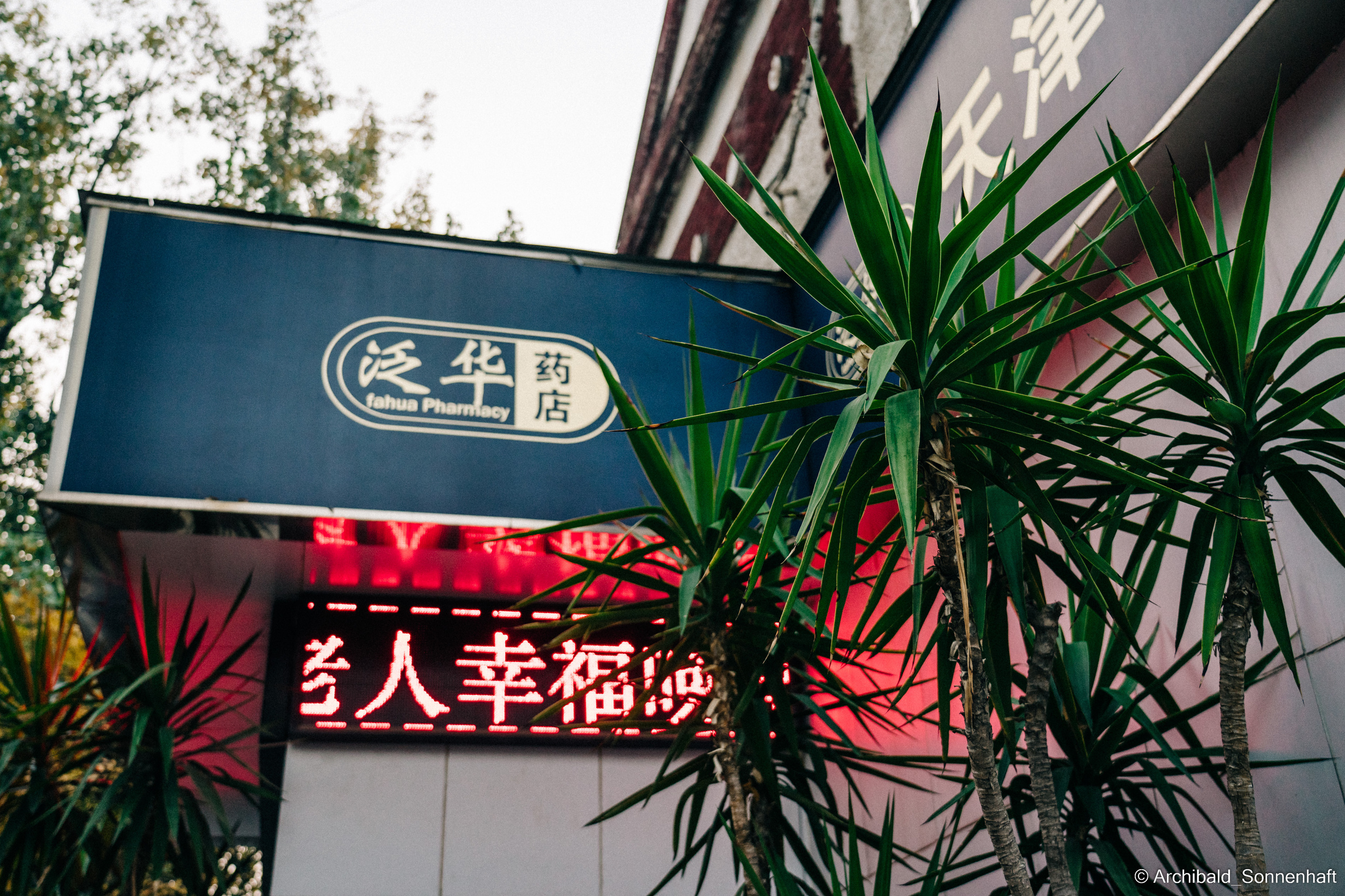 Photo contests. Photographer in Guangzhou, China. Archibald Sonnenhaft