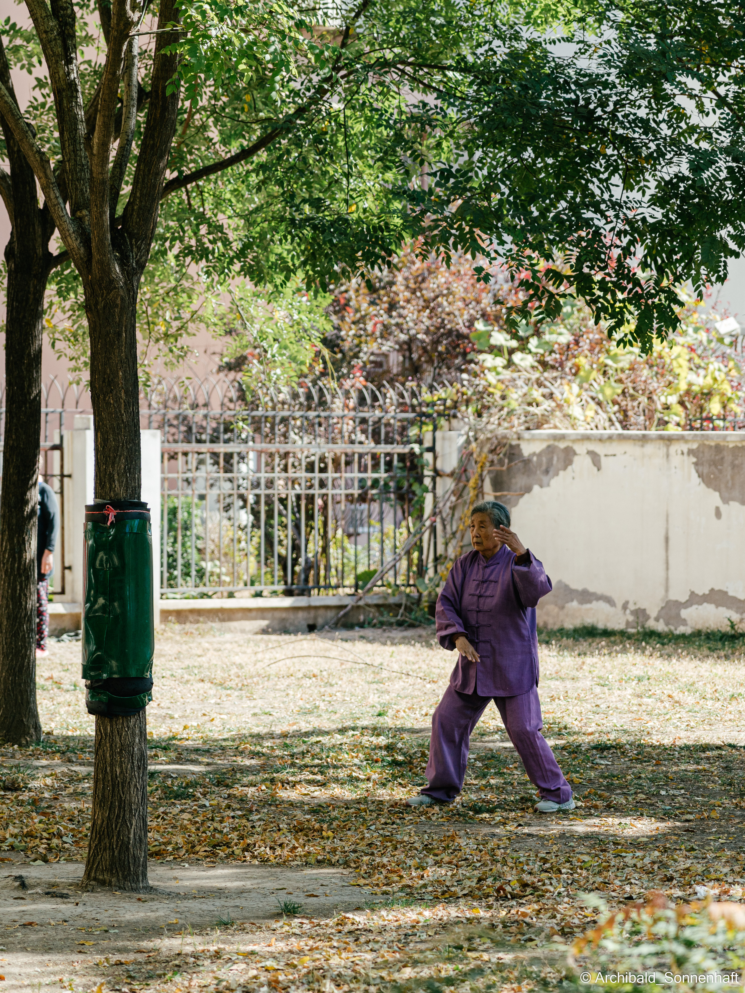 TaiJiQuan. Photographer in Guangzhou, China. Archibald Sonnenhaft