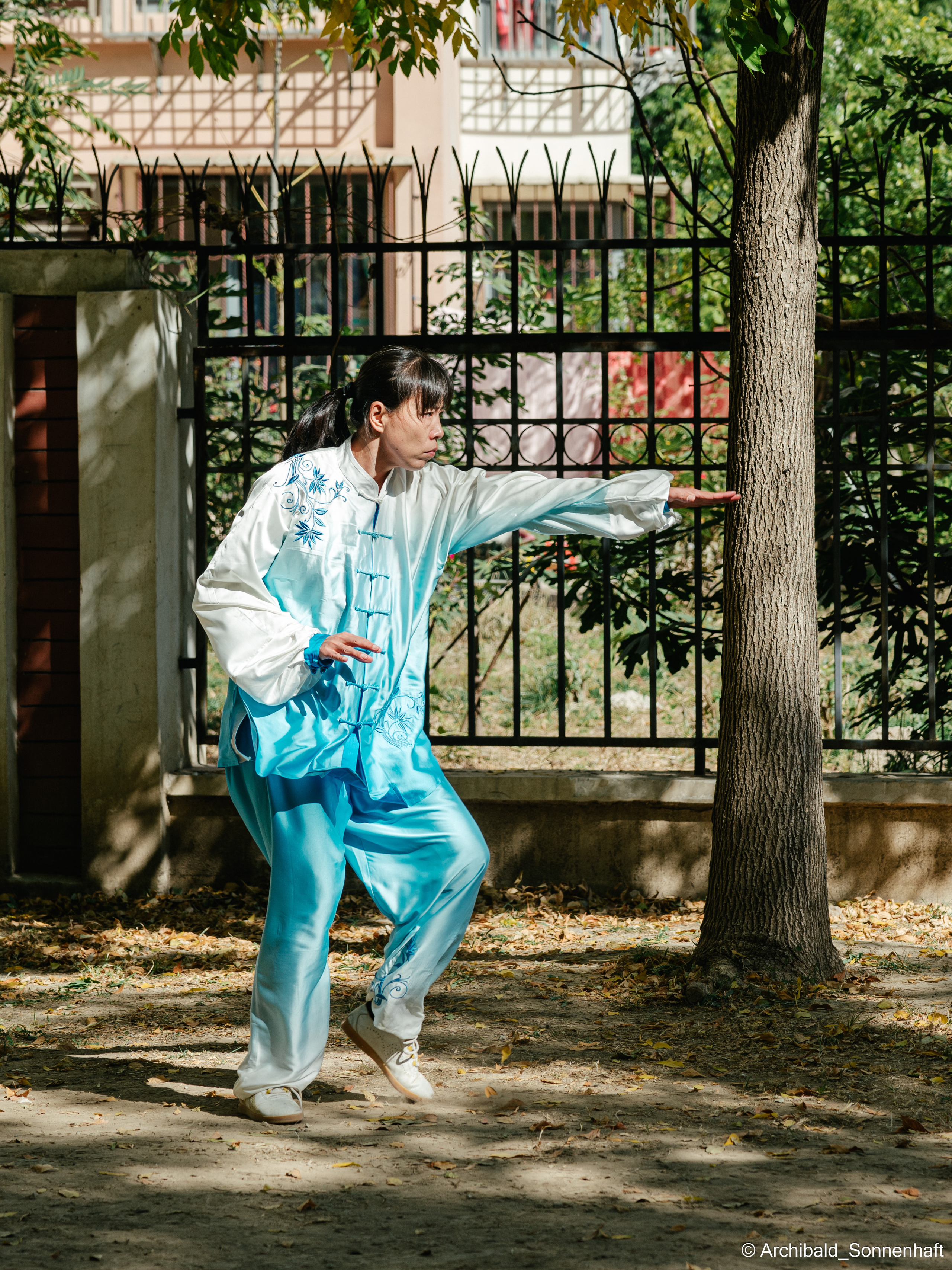TaiJiQuan. Photographer in Guangzhou, China. Archibald Sonnenhaft