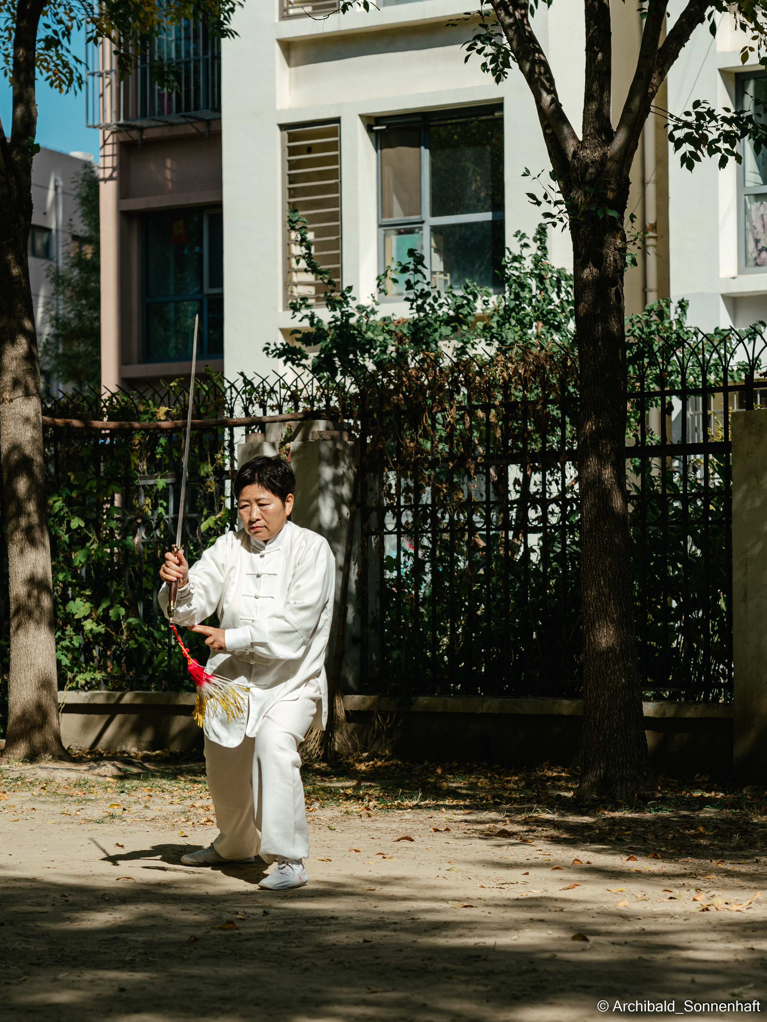 TaiJiQuan. Photographer in Guangzhou, China. Archibald Sonnenhaft