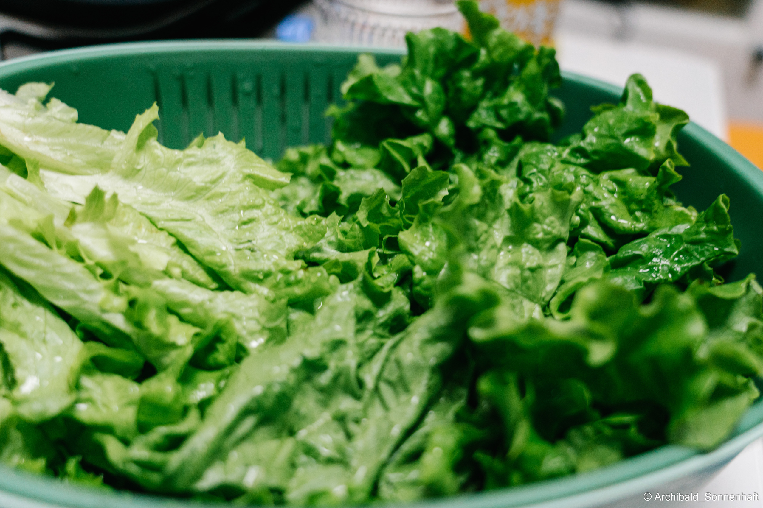 Chinese and Kyrgyzstan’s family!. Photographer in Guangzhou, China. Archibald Sonnenhaft