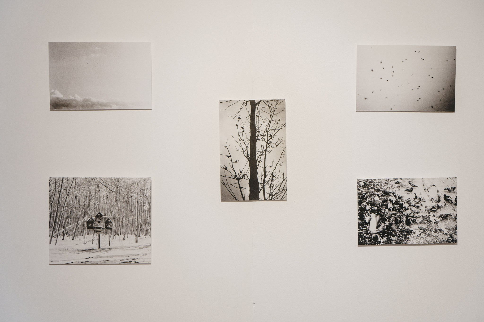 Пьюти-фьют. Игорь Скабелин