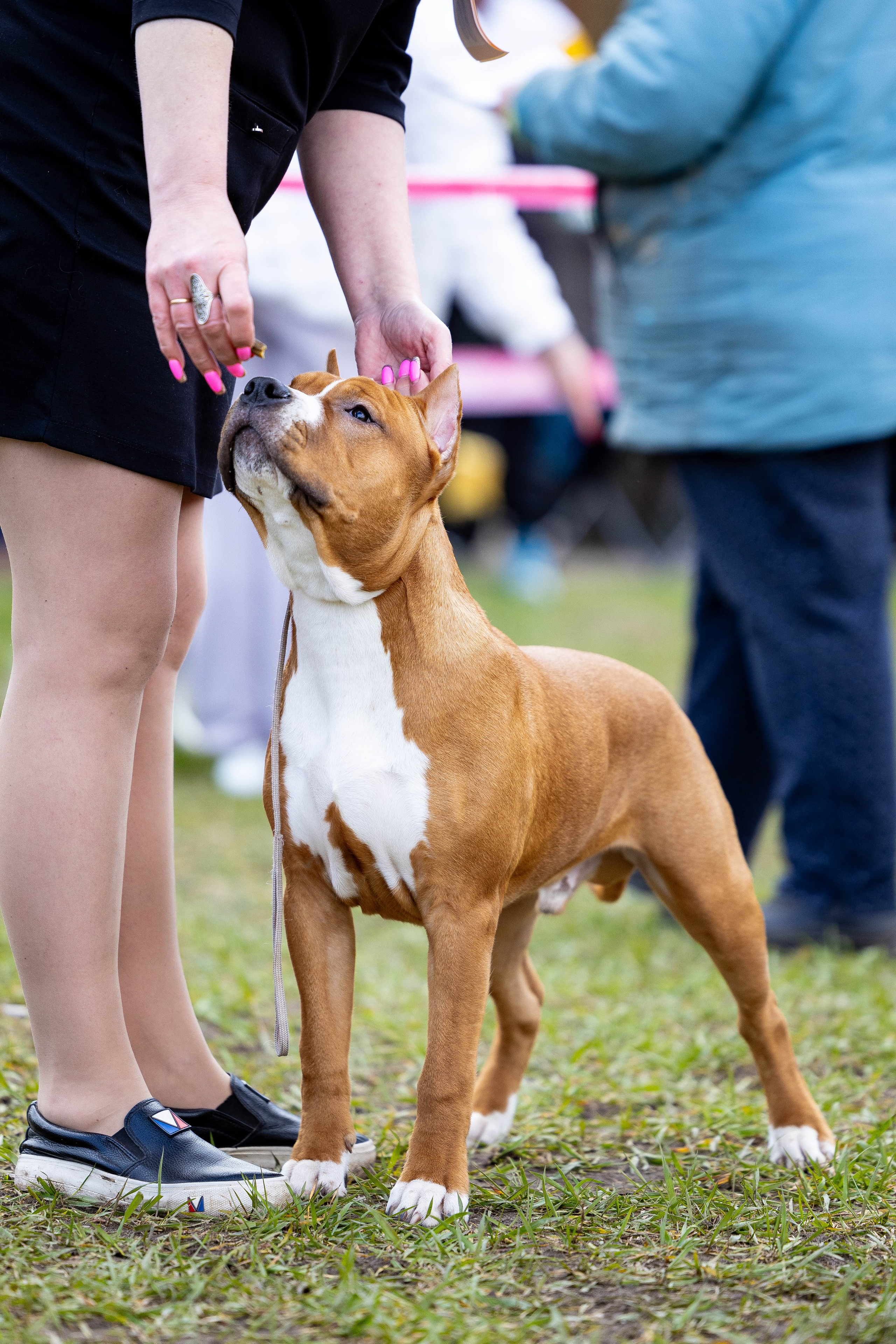 Фотограф Анималист в Перми Анастасия Остерман