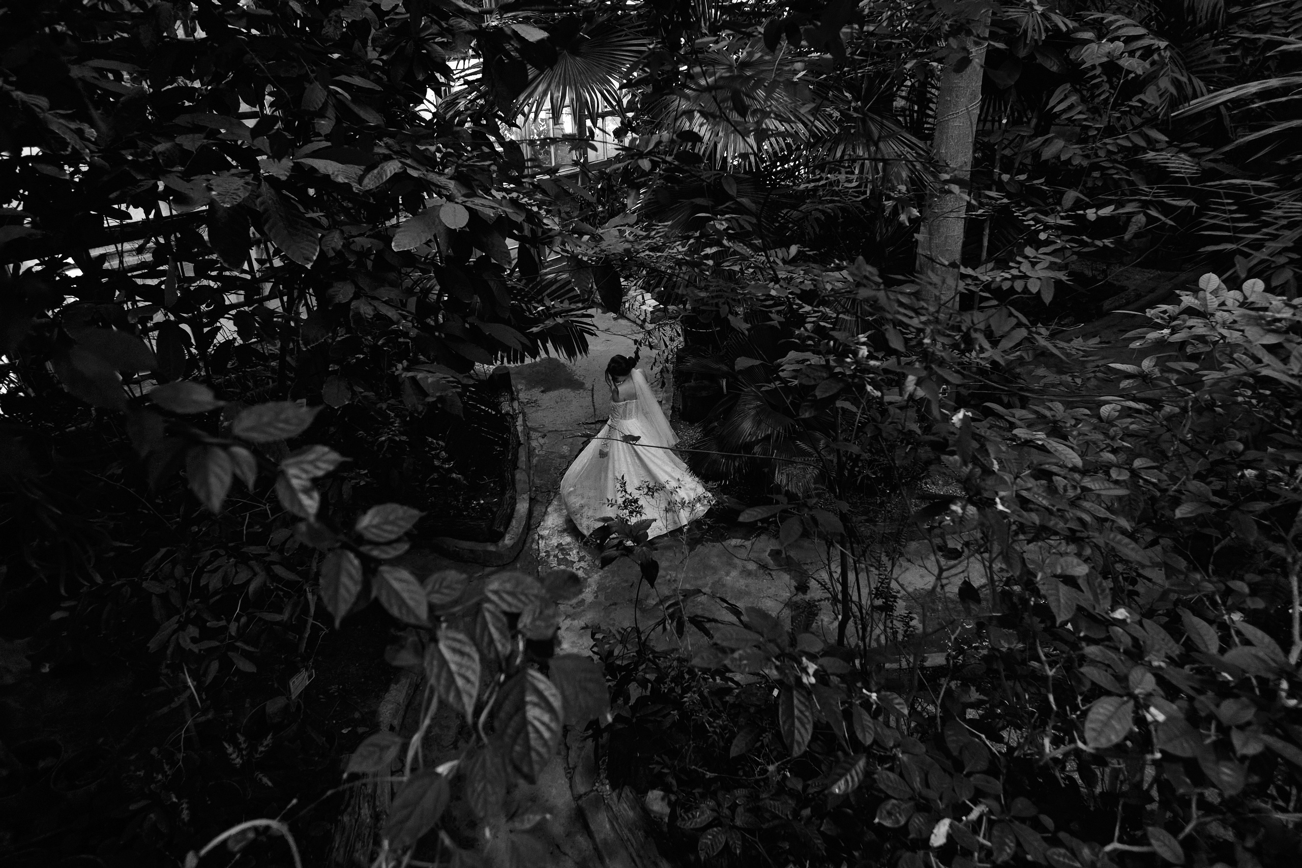 Классические сборы в отеле. Роспись в 4 ЗАГСе и съемка в оранжерее Цицина РАН. Любовь Юсупова. Фотограф