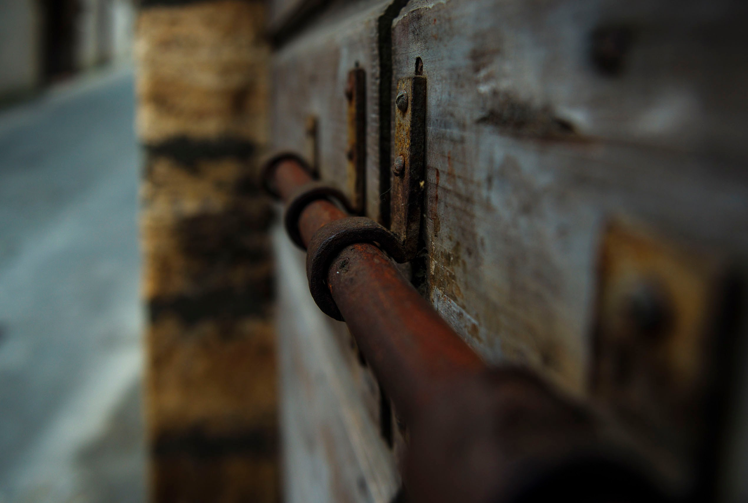 Портретный фотограф в СПб Талилула