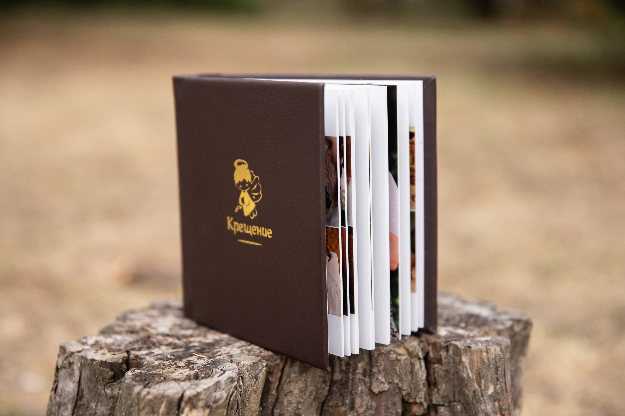 Печатная продукция Анна Светикова. Фотограф в Краснодаре Анна Светикова