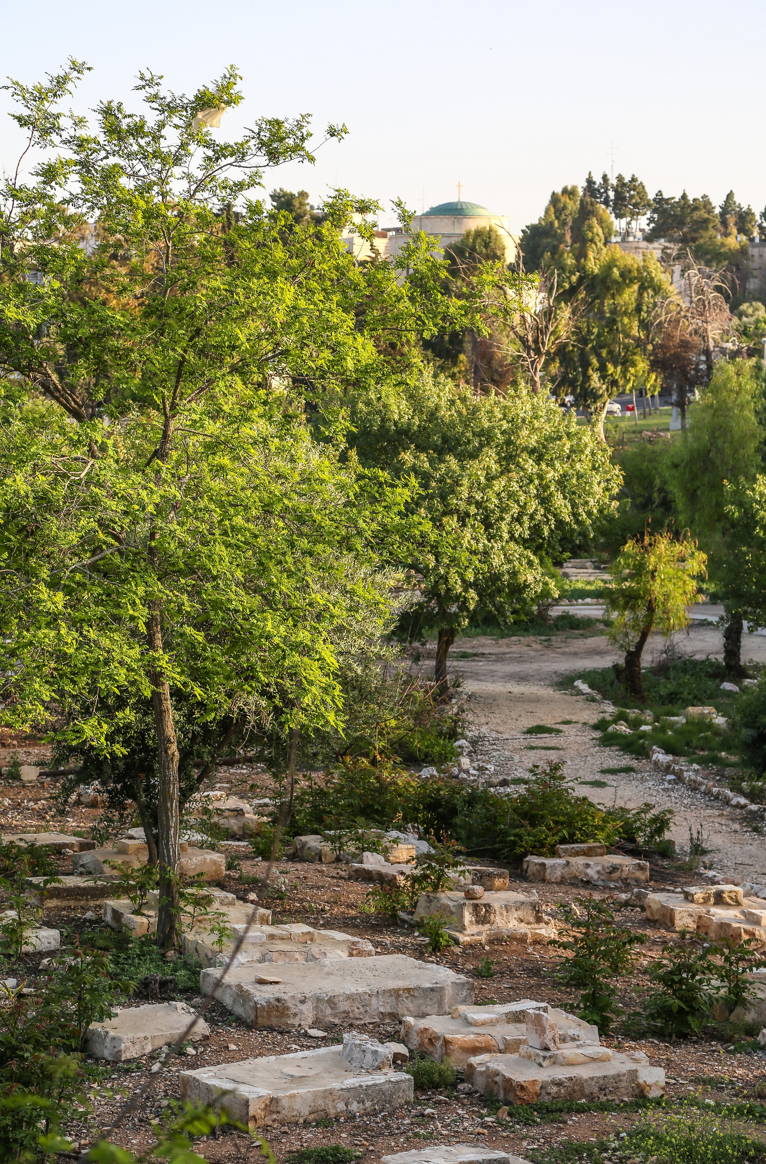 Израиль: «Под небом голубым есть город золотой…». Дарья Письменюк / Darya Leitstern — фотограф, музыкант, журналист, путешественник