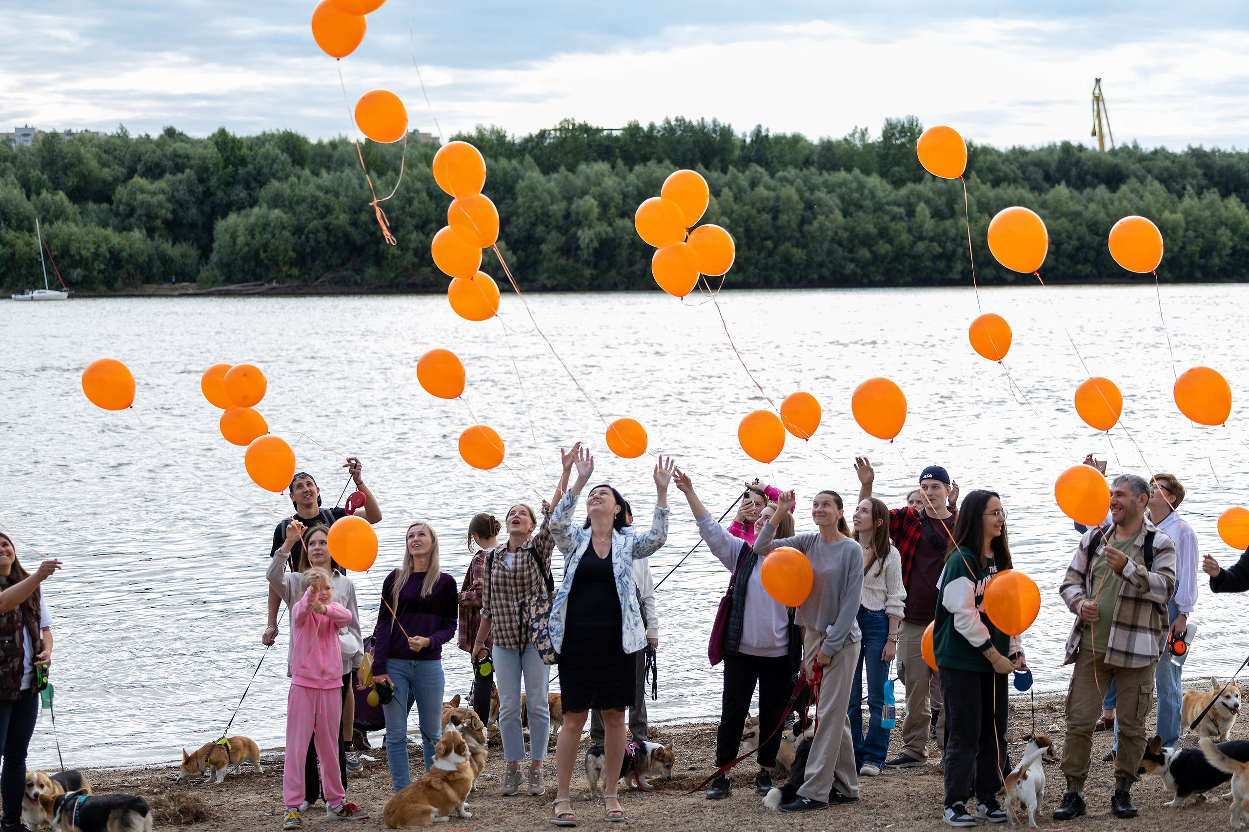Корги-туса. Фотограф-анималист в Омске Екатерина Маричева