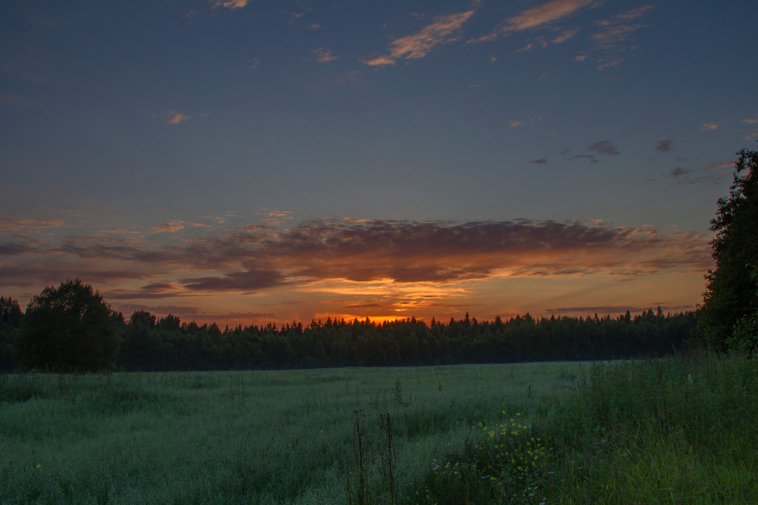 Тишина. Свадьбы, портретная, предметная съемка. Фотограф Александр К