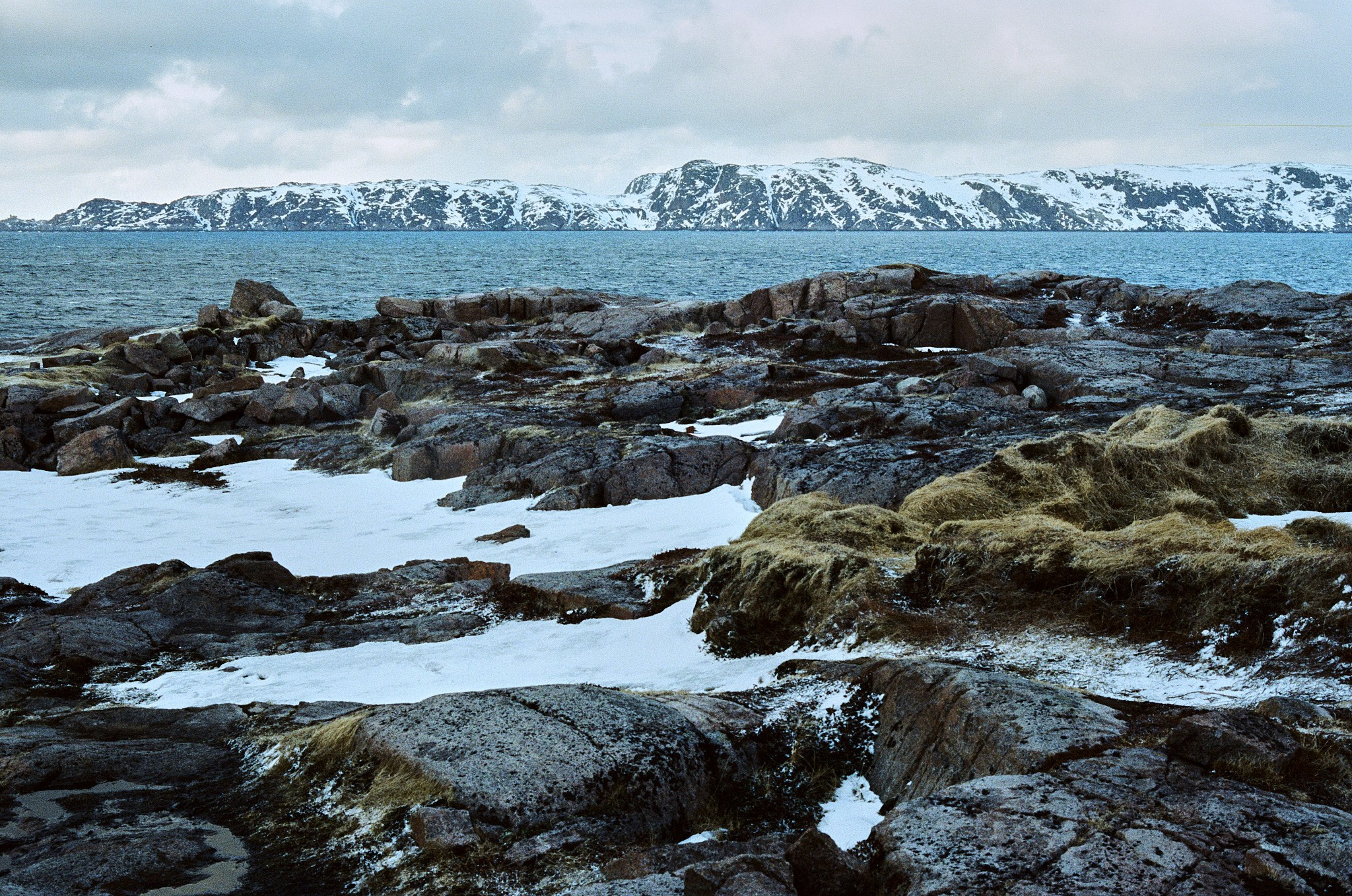 Teriberka (Murmansk). The Other Pavel Potseluev — film photography and mastery of meat business