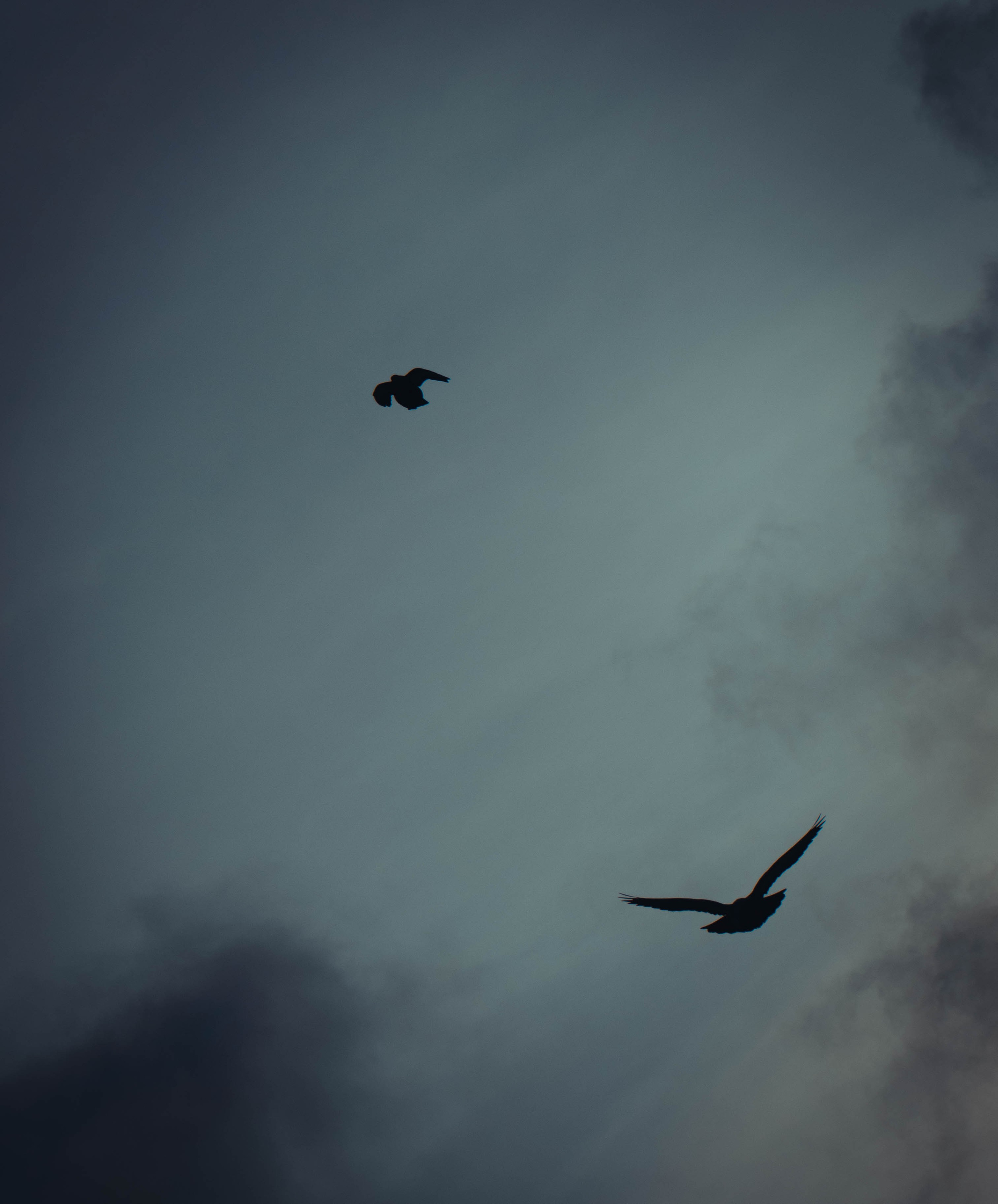 Портретный фотограф в Москве Кирилл Удалов