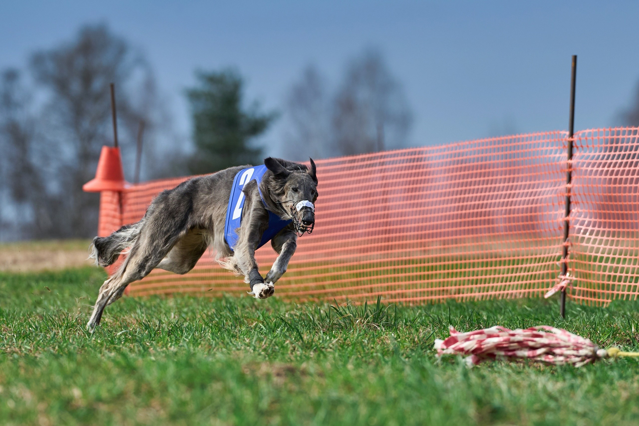Квалификация по рейсингу. Фотограф-анималист Михаил Манухин