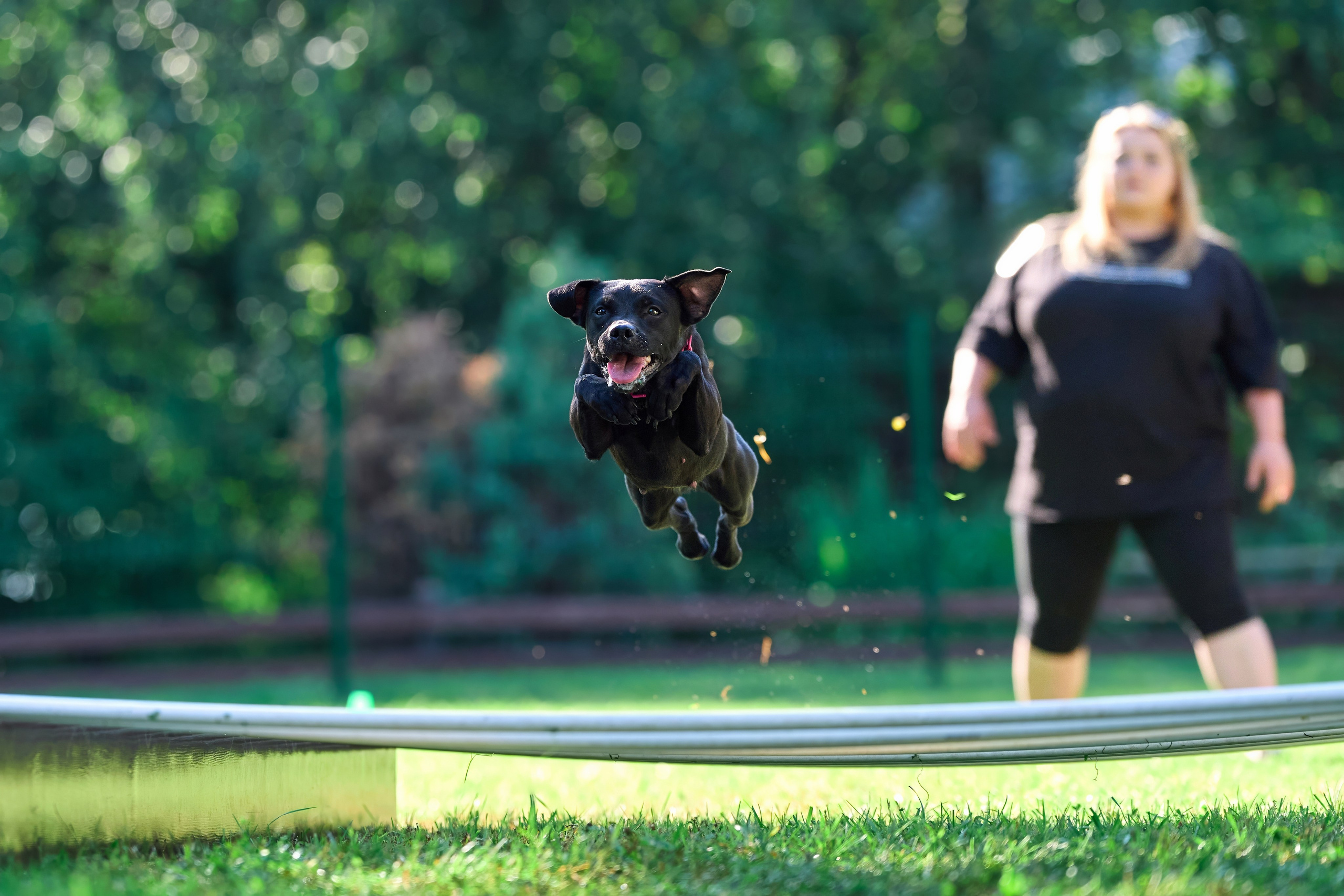 Jump'n'Gym JUMP! — 2024. Фотограф-анималист Михаил Манухин
