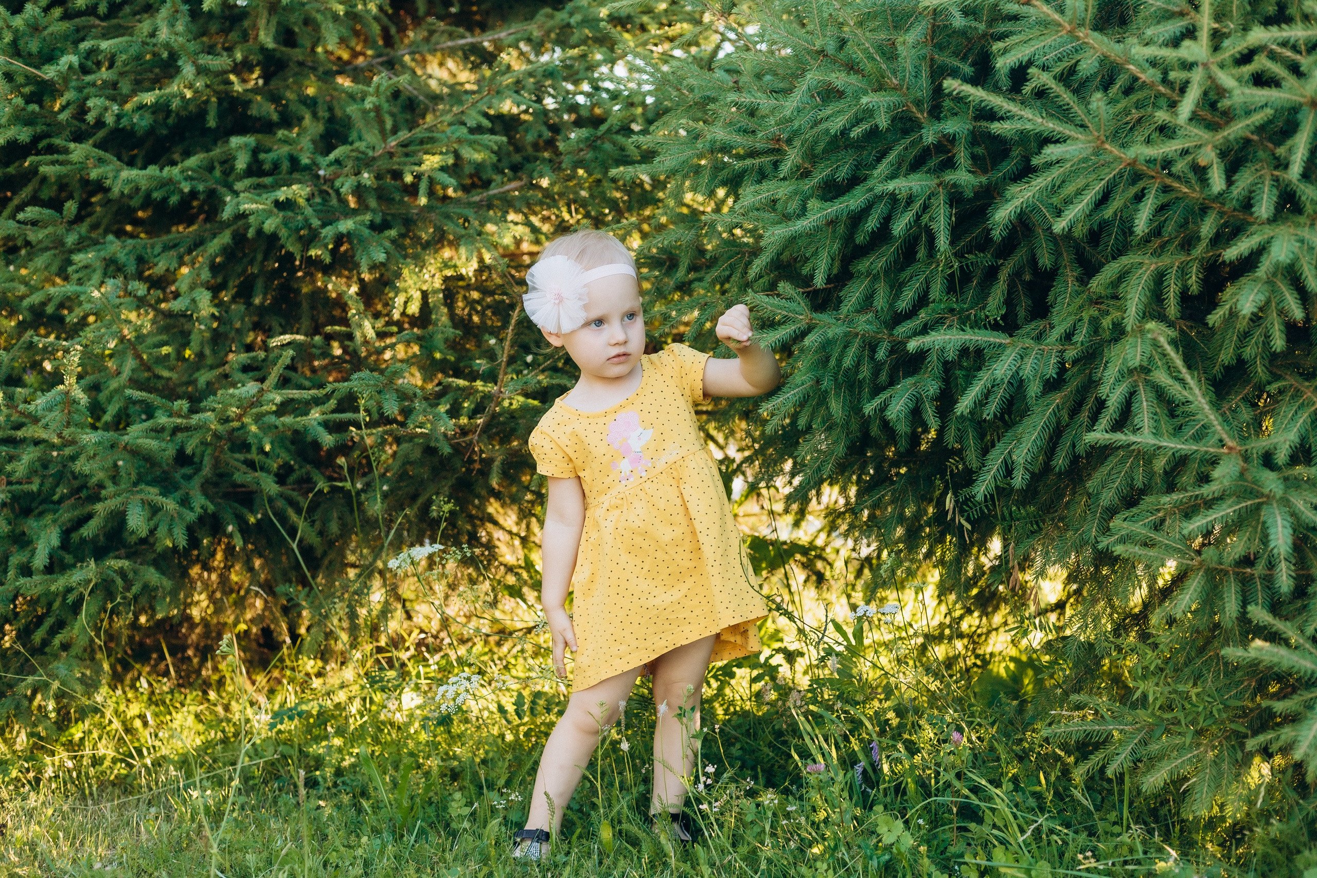 © Фотостудия "Олеся". Все права защищены. "Любое использование или копирование материалов или элементов дизайна сайта допускается только с разрешения правообладателя и со ссылкой на источник".